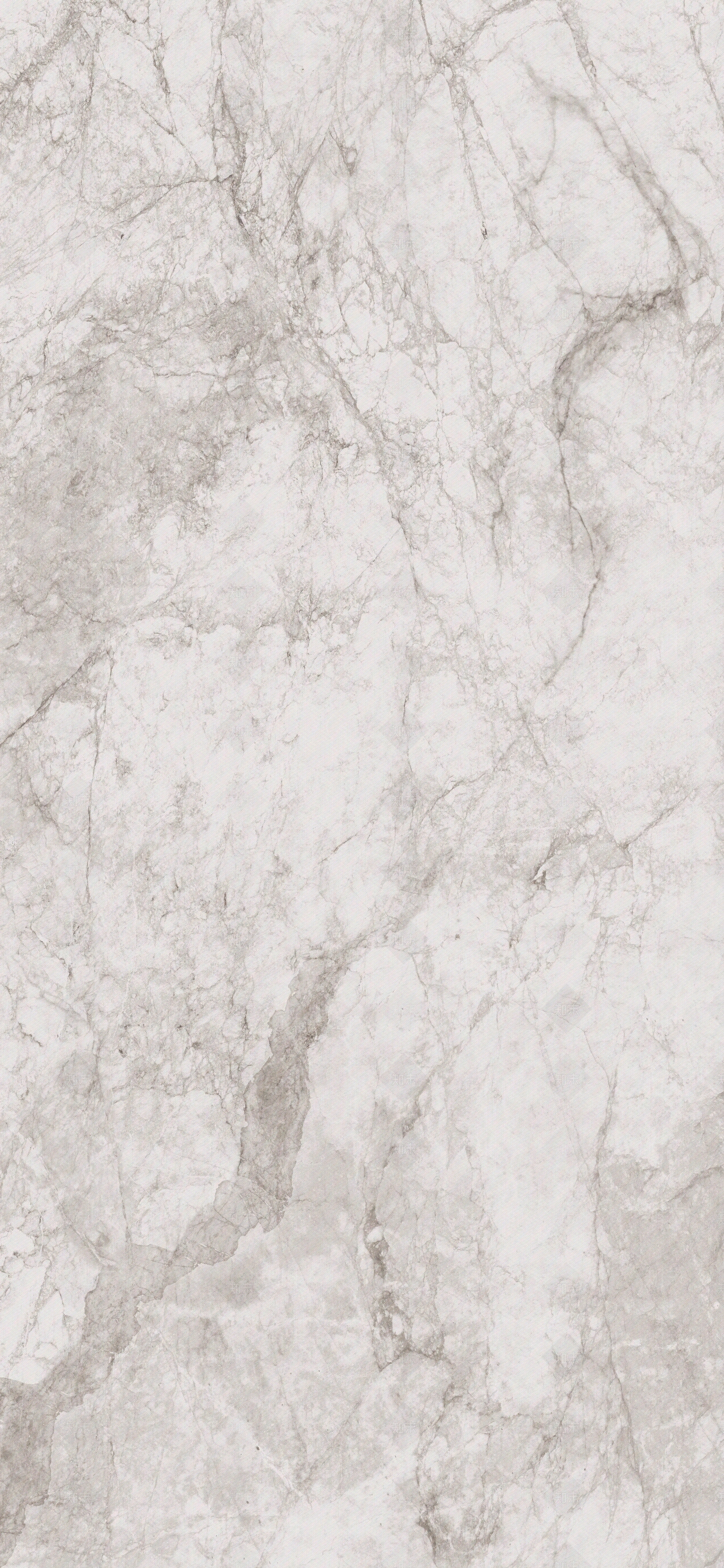 奥卓斯巴西鱼肚白大理石岩板贴图下载【ID:1140982229】
