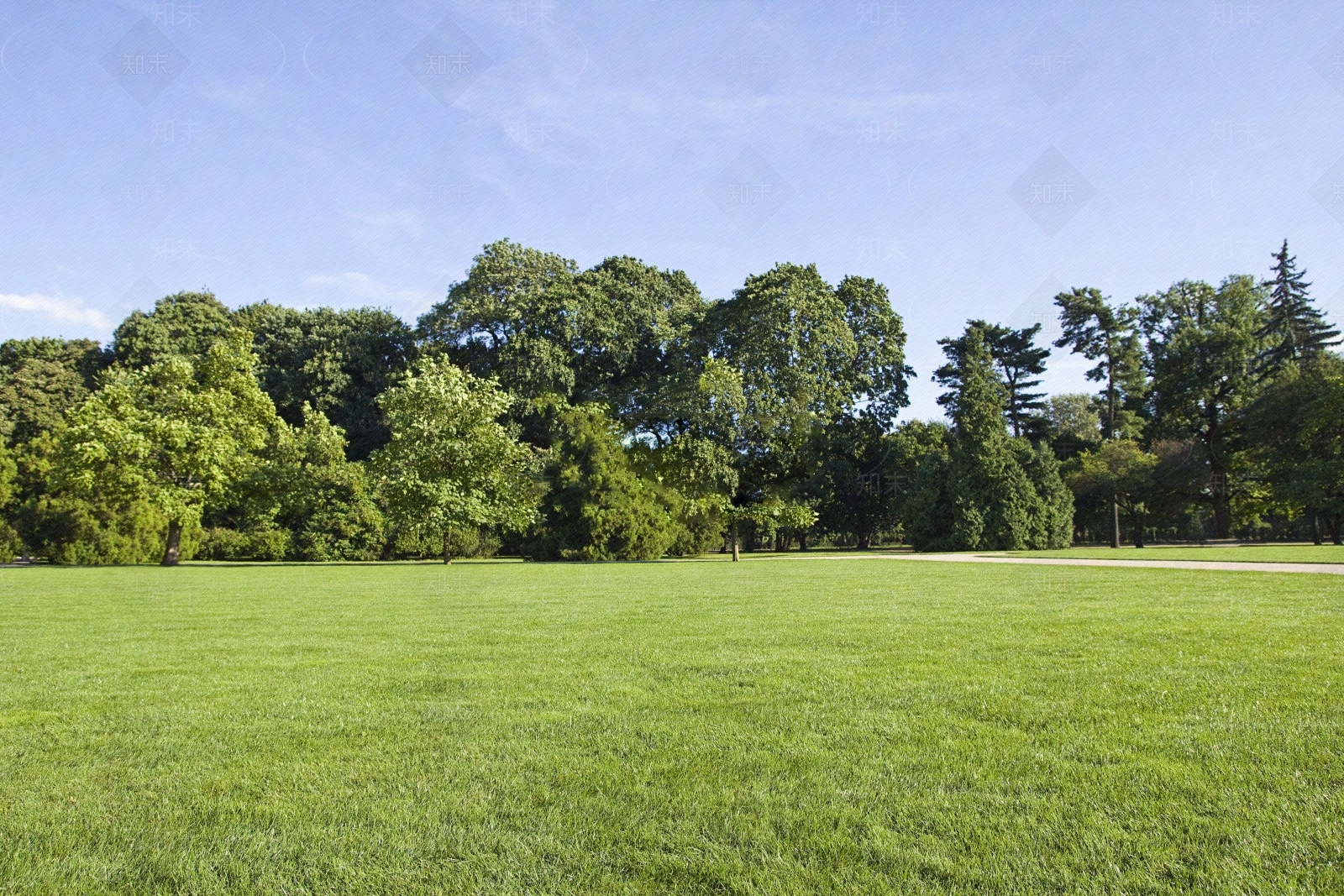 白天户外风景贴图下载【ID:1141007887】