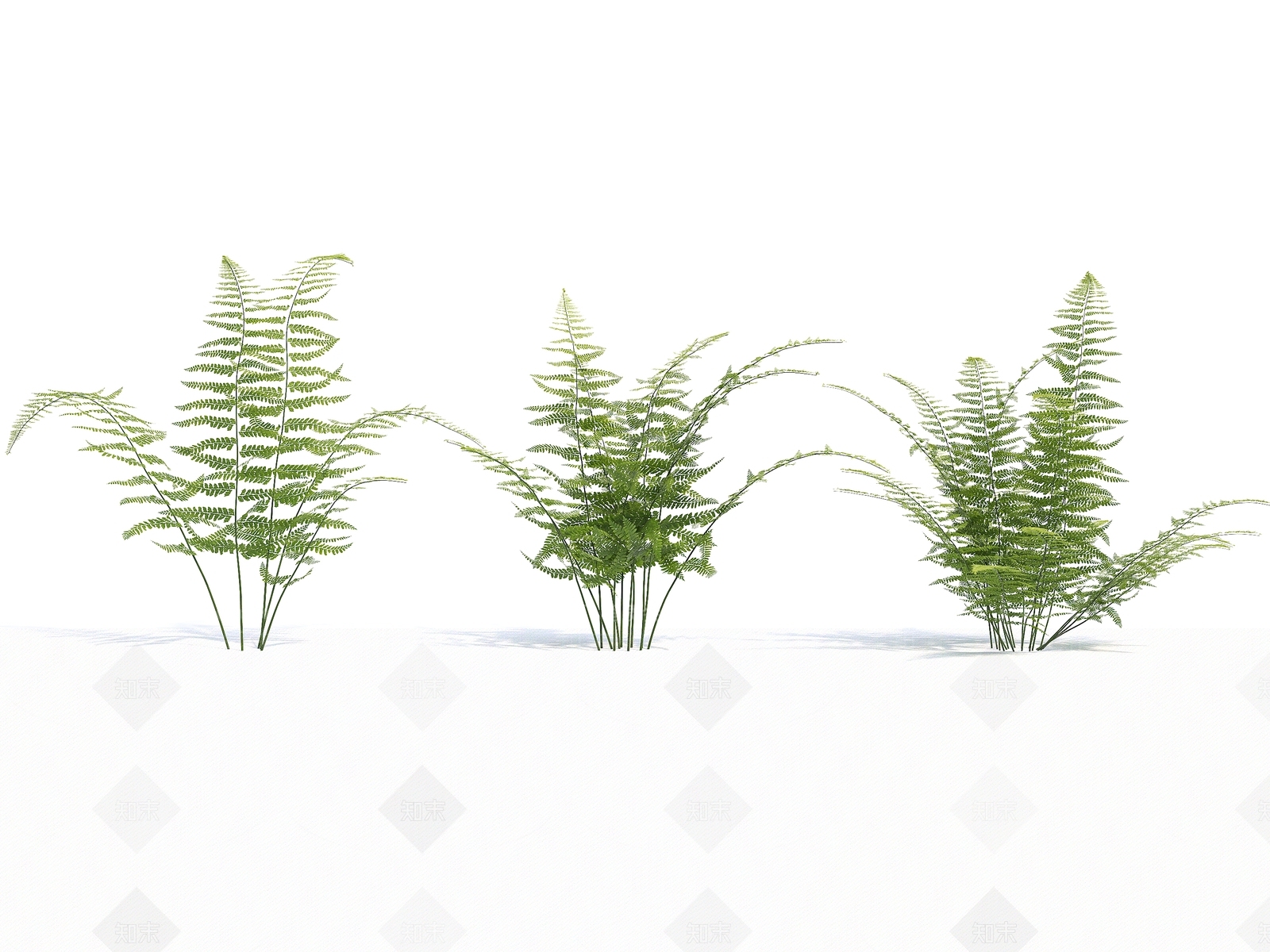 草3D模型下载【ID:1141104616】