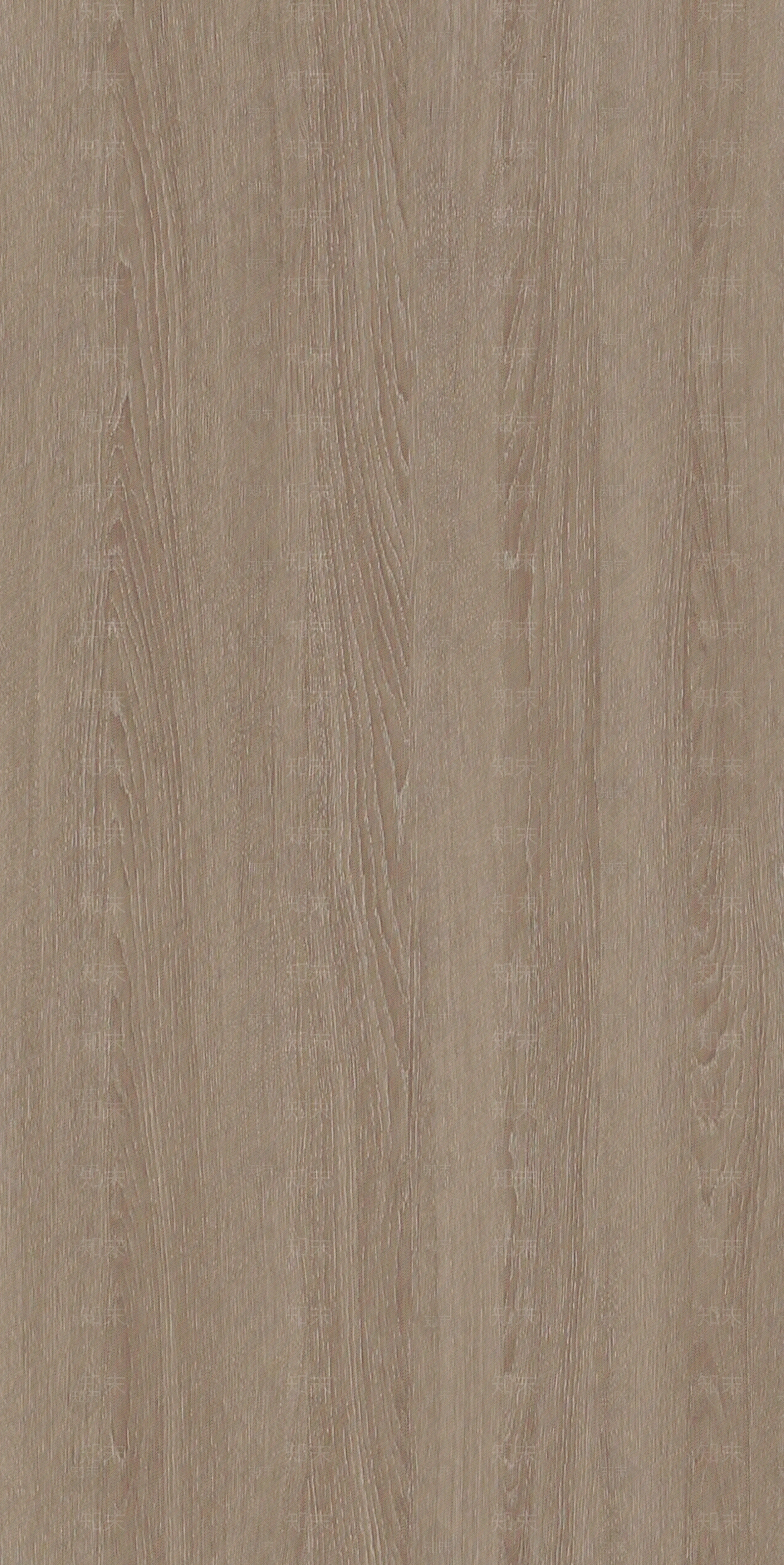 无缝黄色橡木木纹木饰面贴图下载【ID:1141178771】