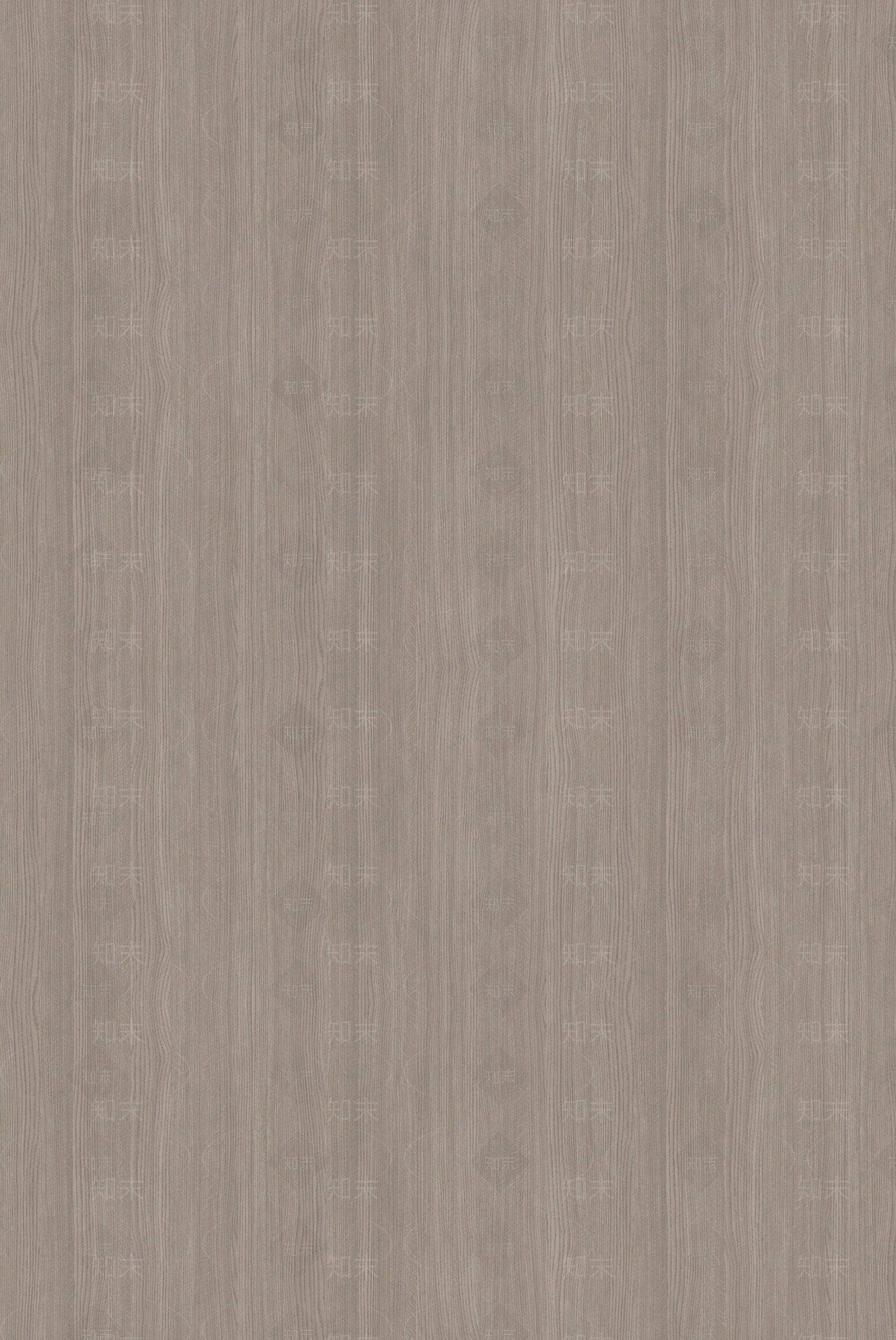 暖灰色橡木贴图下载【ID:1141180335】