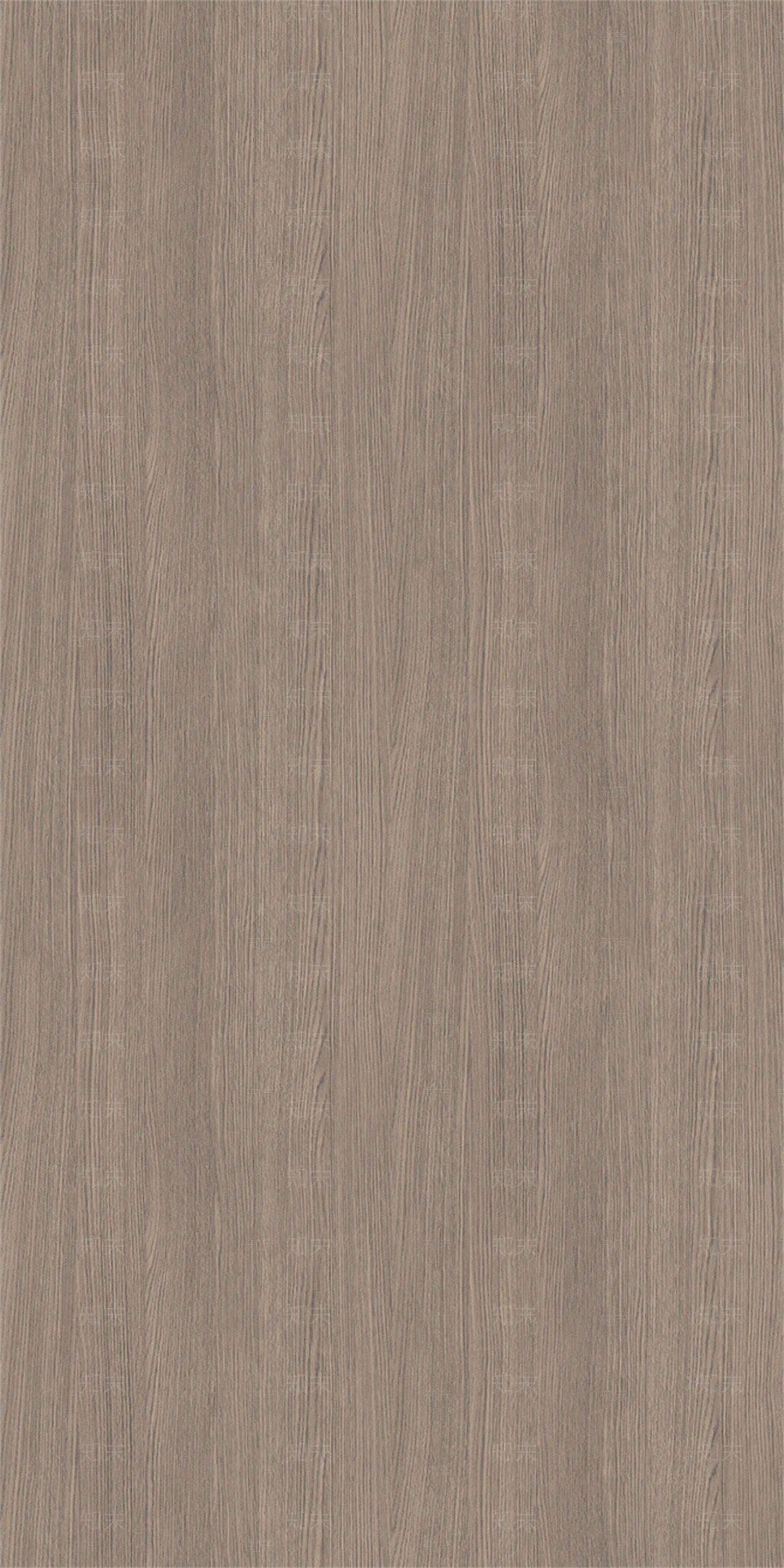 暖灰色橡木木纹木饰面贴图下载【ID:1141181414】