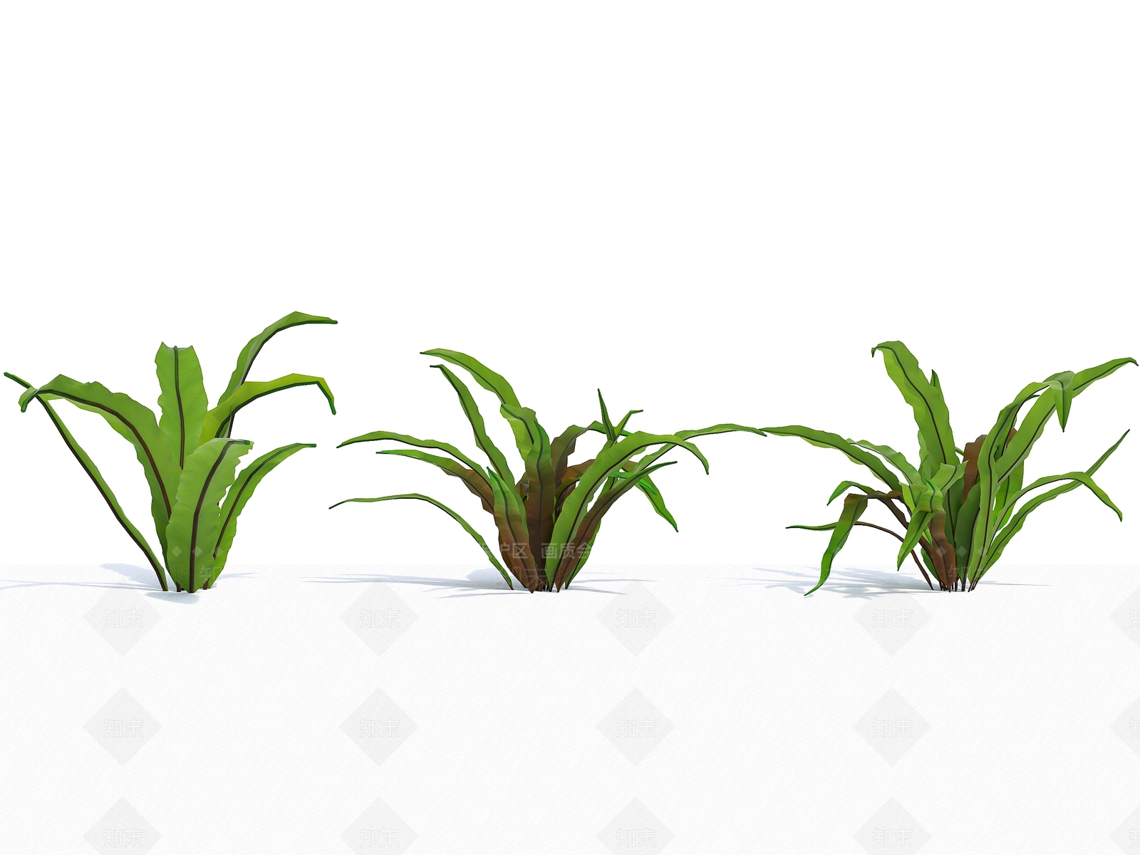 香龙血树3D模型下载【ID:1142190149】