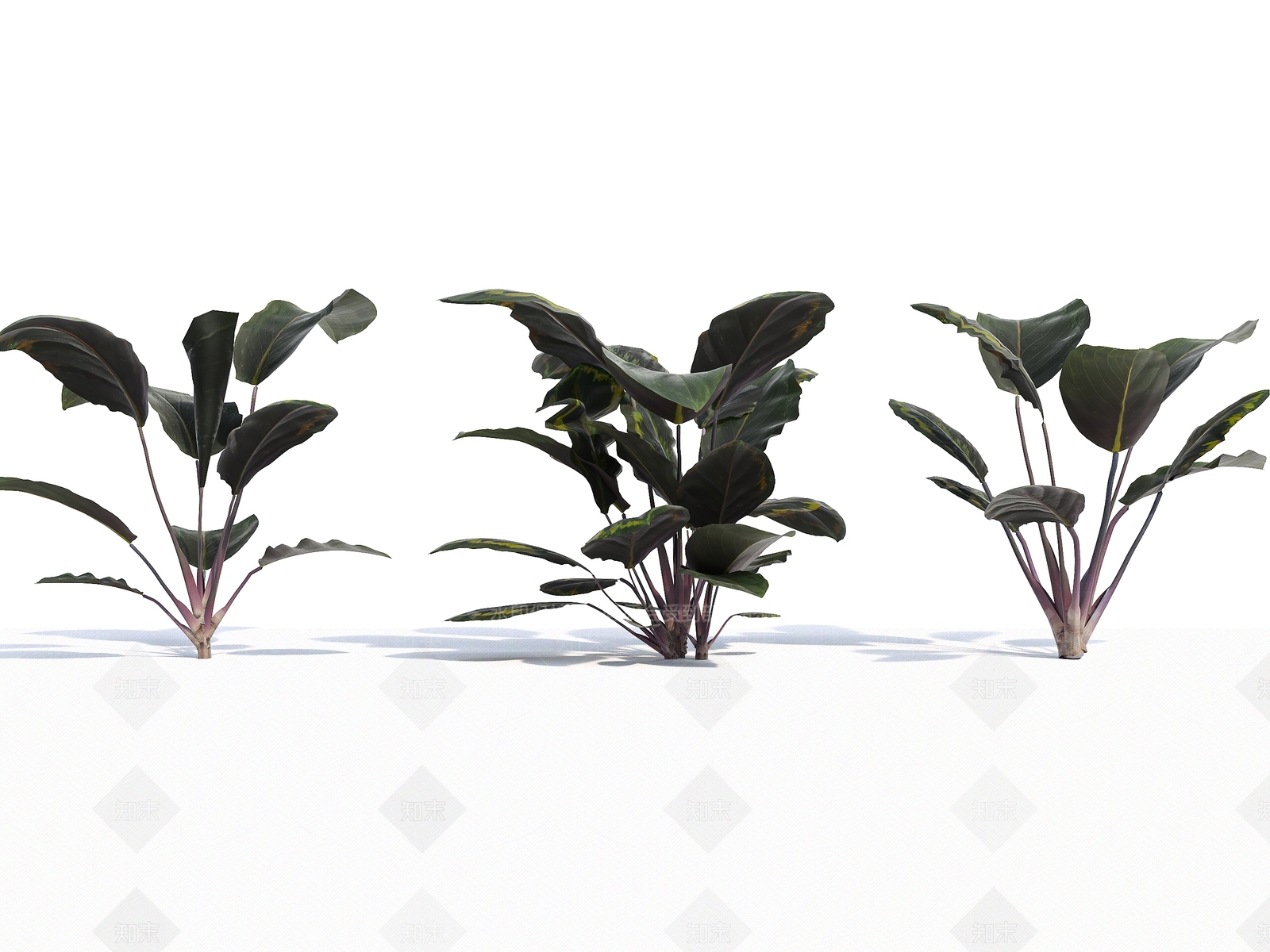 草3D模型下载【ID:1141198474】