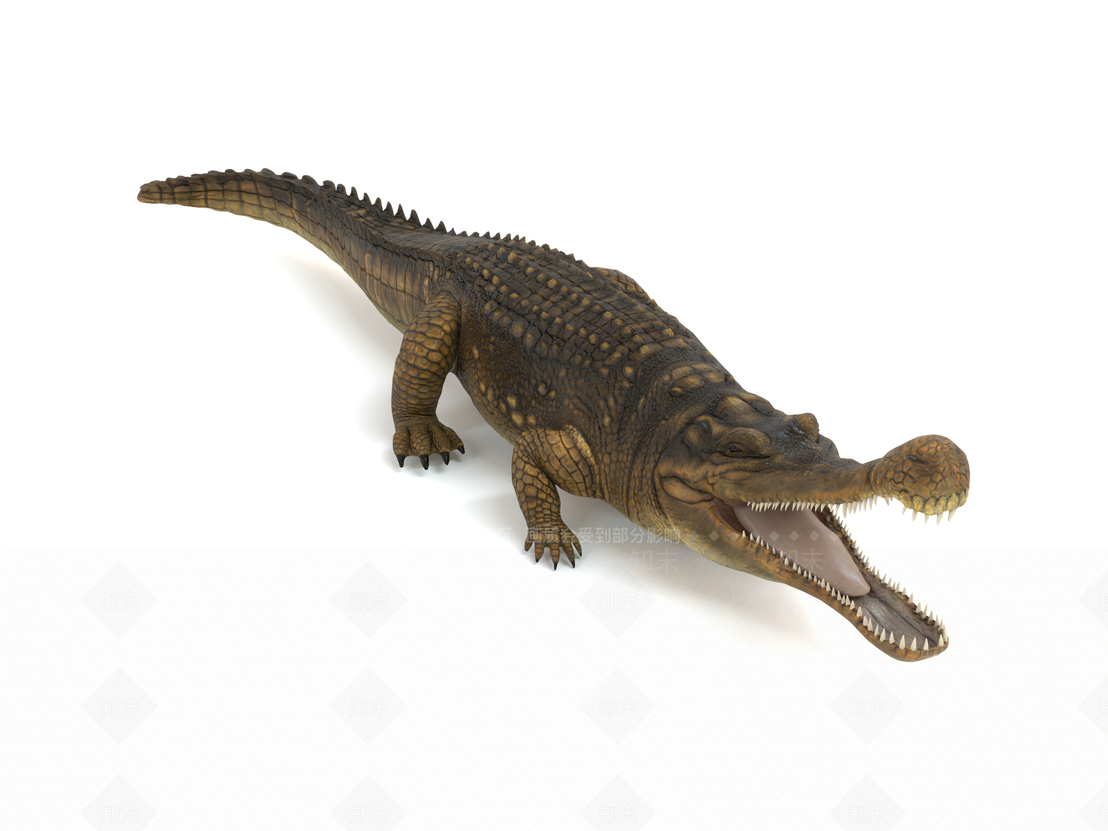 鳄鱼3D模型下载【ID:1141282605】