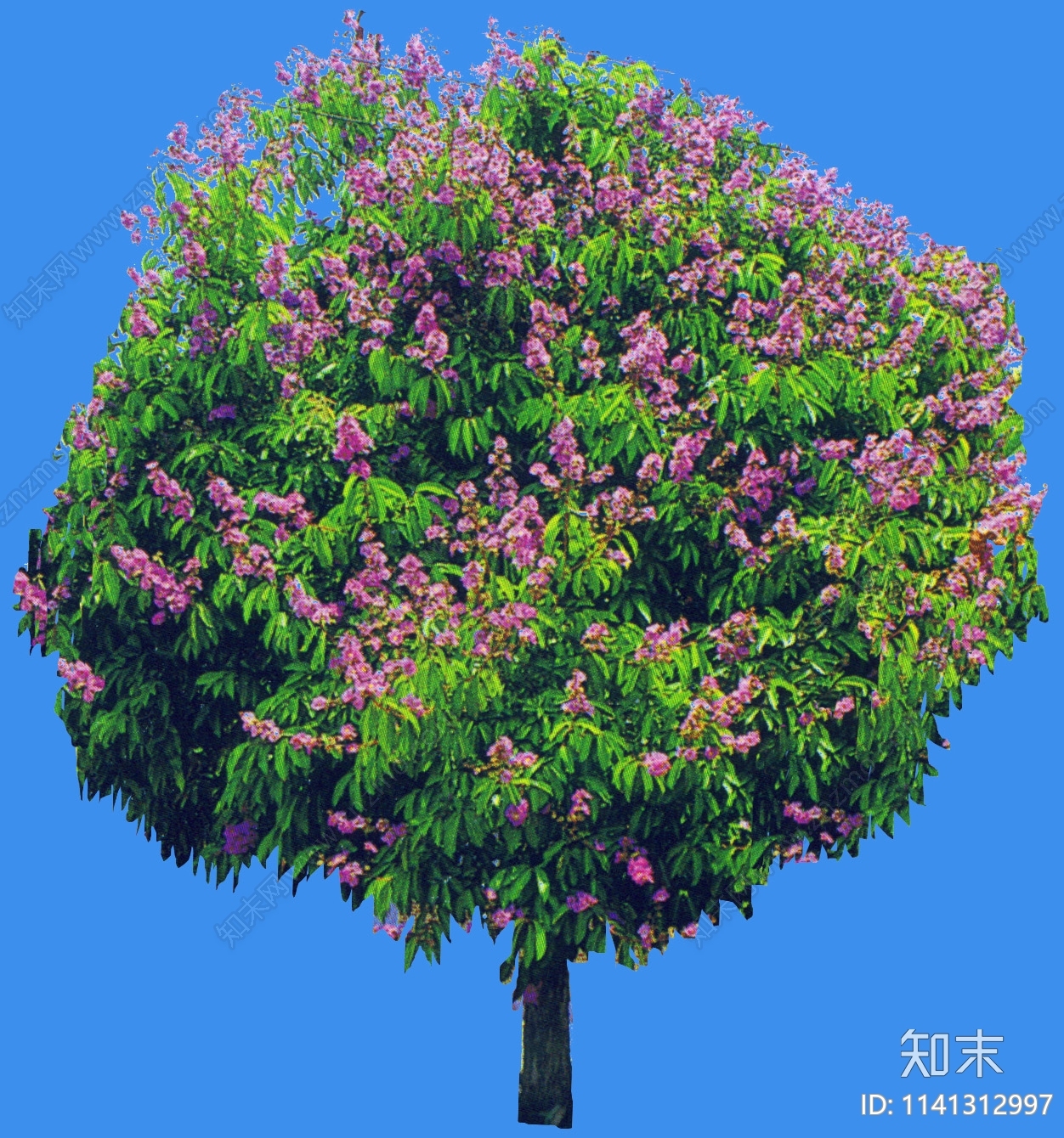乔木设计素材精品下载_知末网