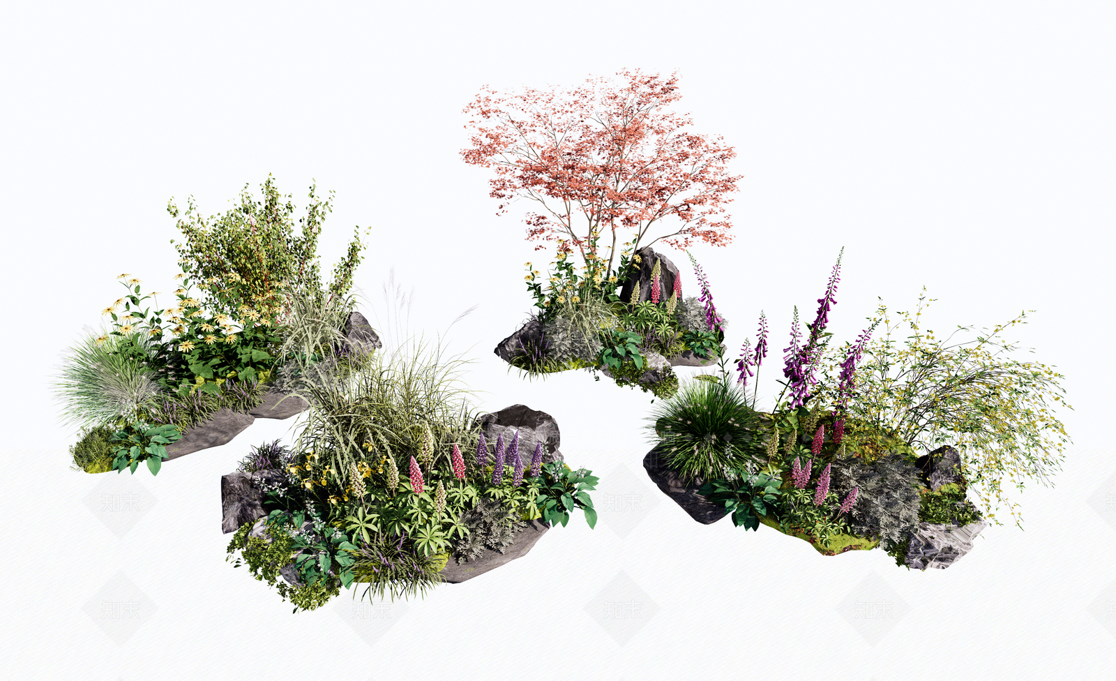 北方室外花镜植物组合SU模型下载【ID:1141318584】