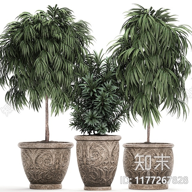 现代盆栽植物组合3D模型下载【ID:1177267828】