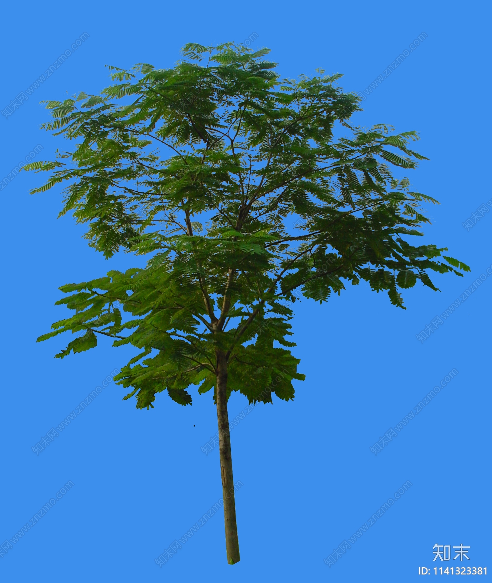 PSD免抠乔木植物下载【ID:1141323381】undefined