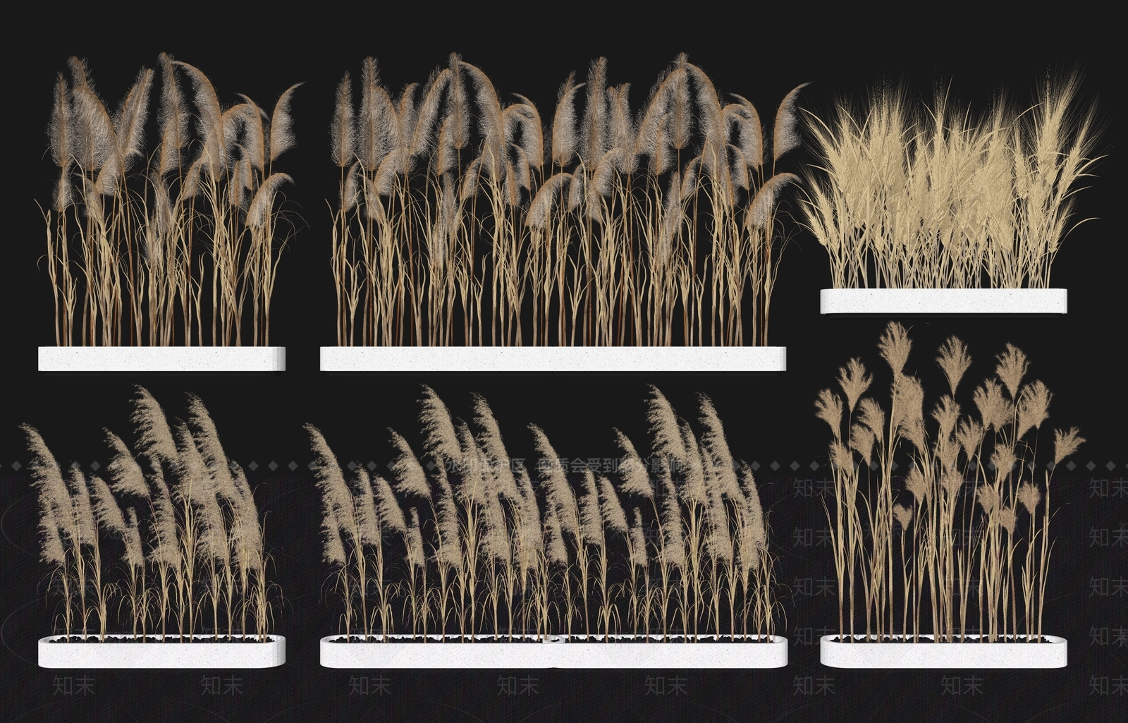 芦苇盆栽SU模型下载【ID:1141453245】