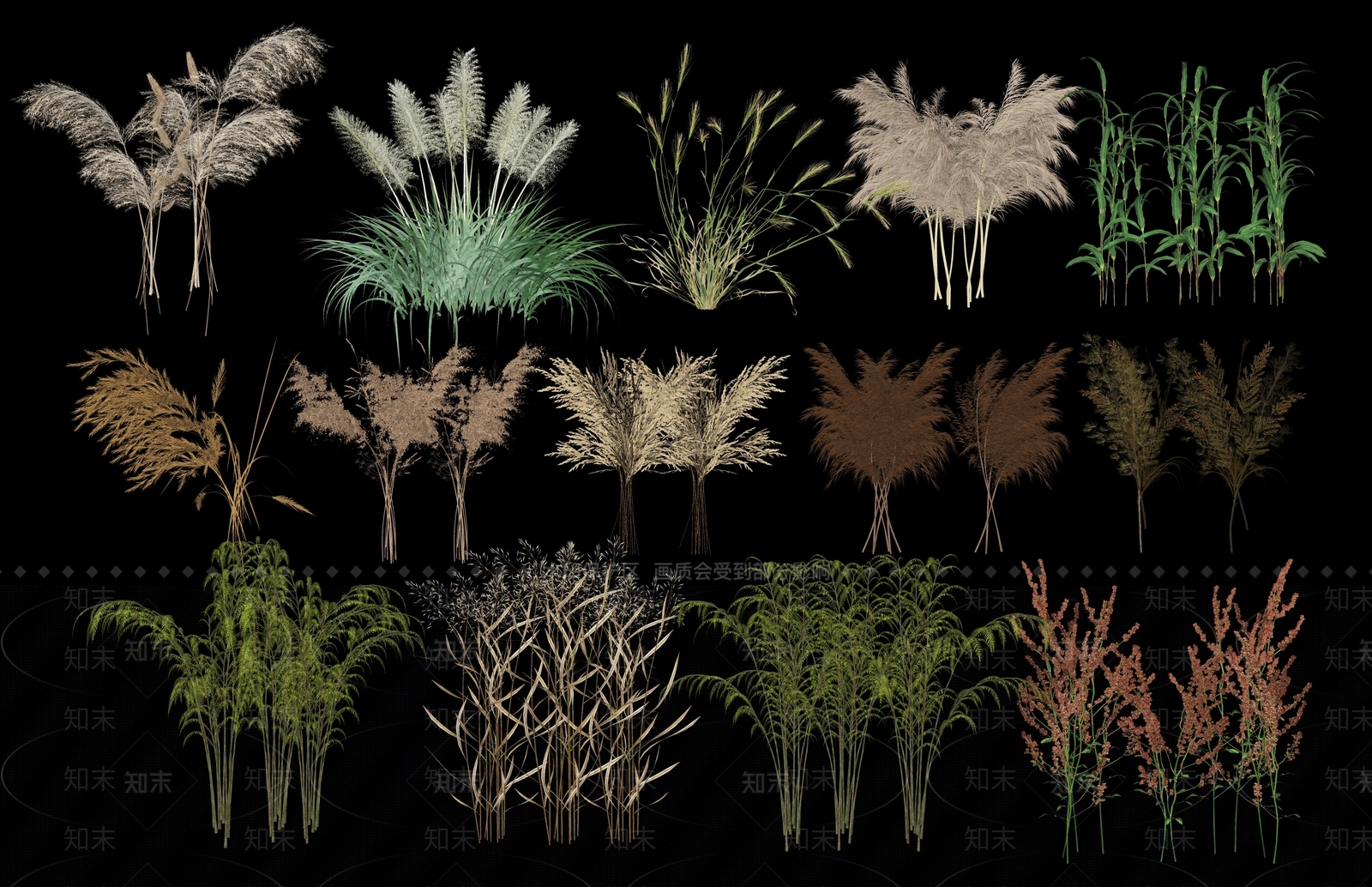 芦苇SU模型下载【ID:1141453293】