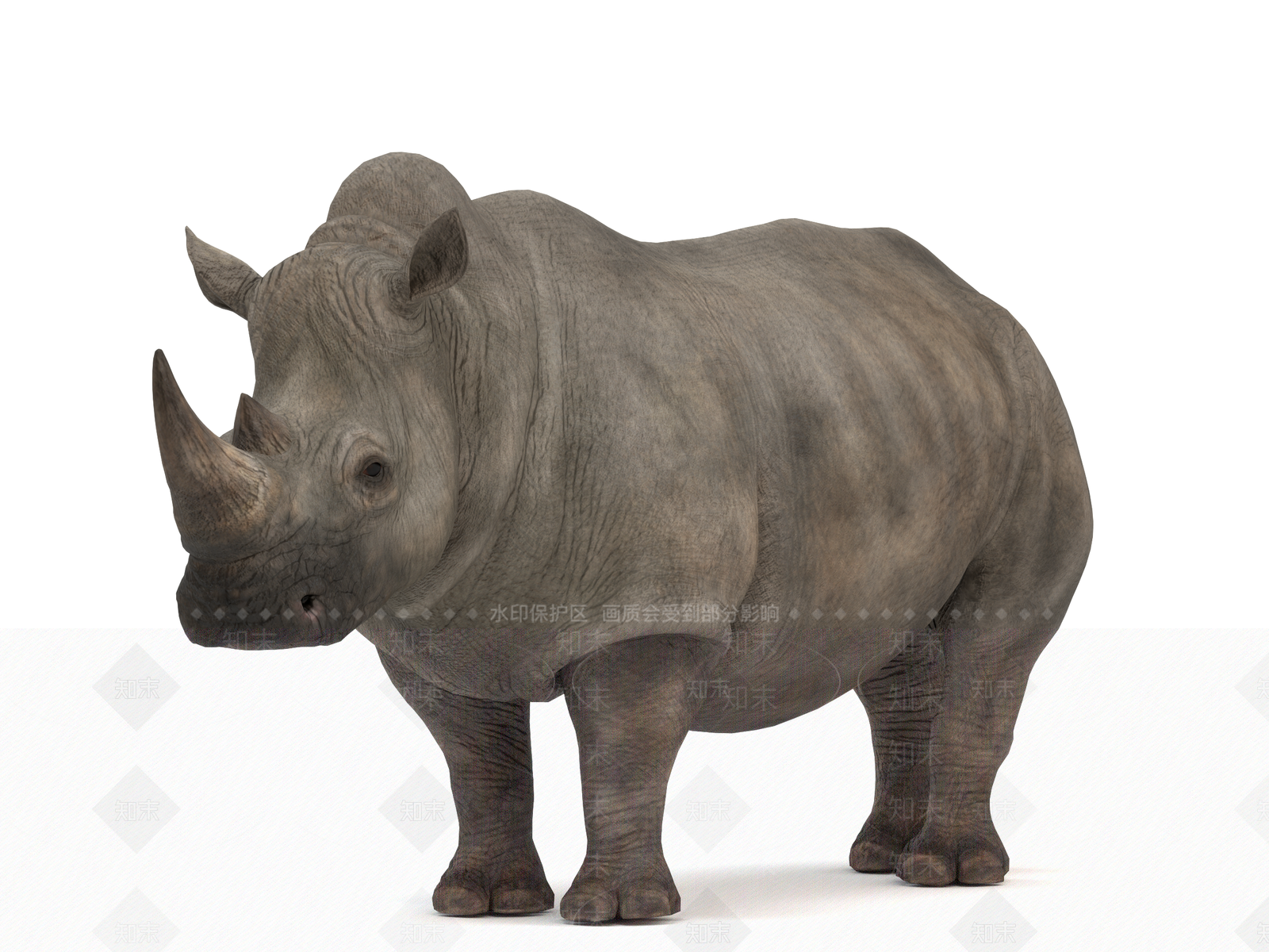 犀牛3D模型下载【ID:1141370365】