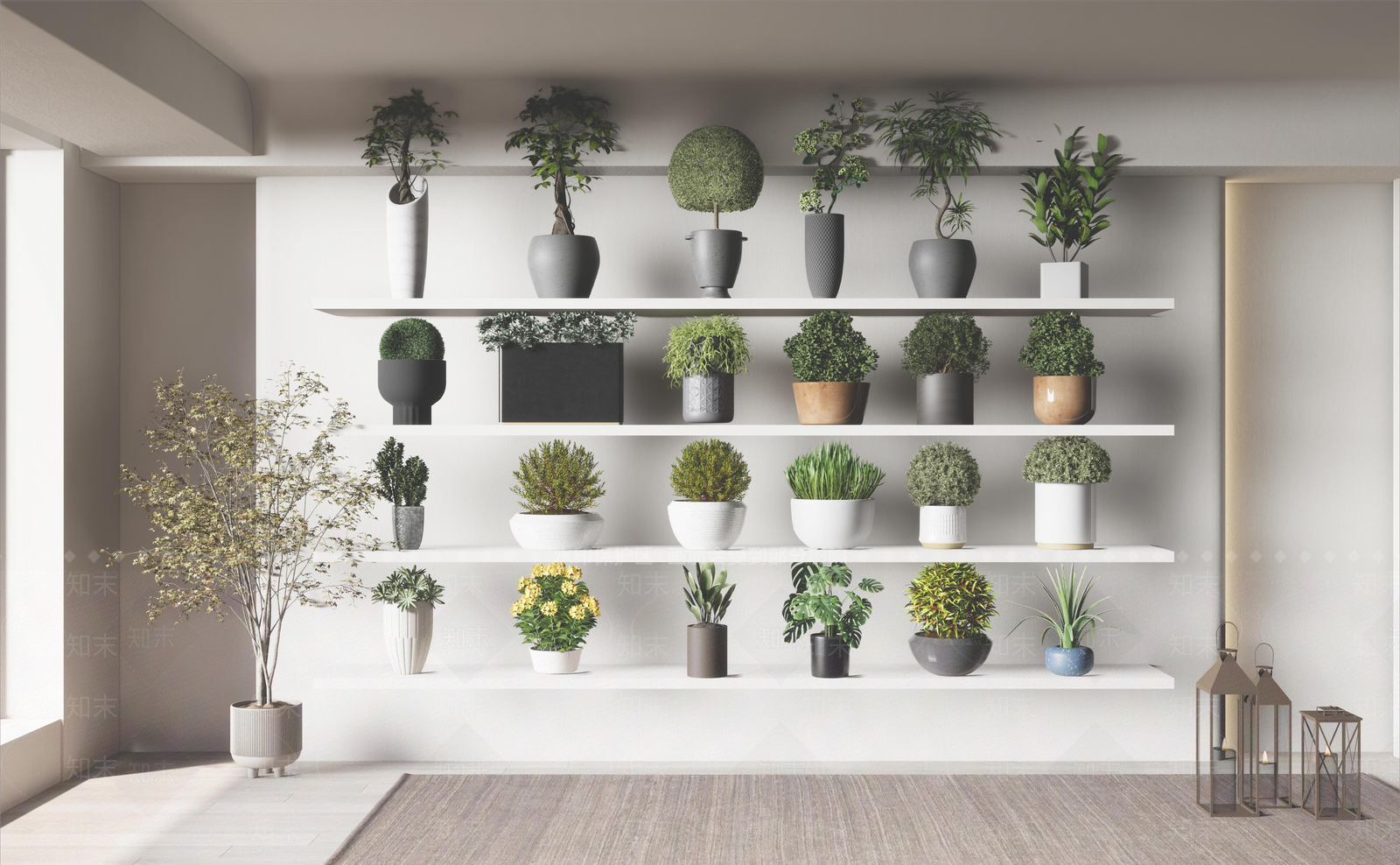 植物球盆栽SU模型下载【ID:1141426022】