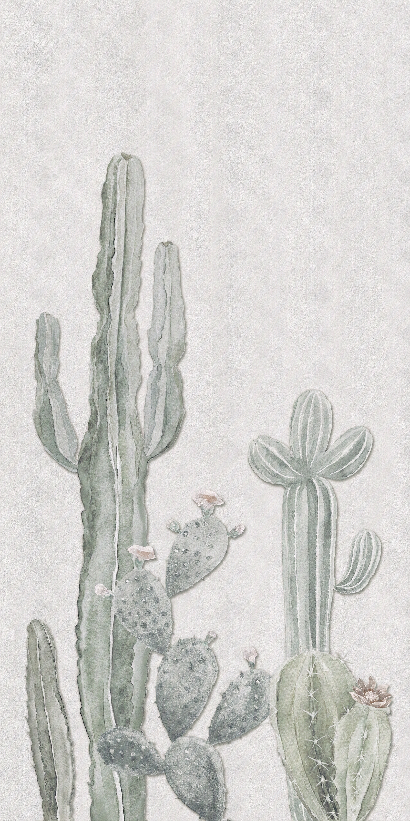 仙人掌画花纹艺术瓷砖贴图下载【ID:1141452532】