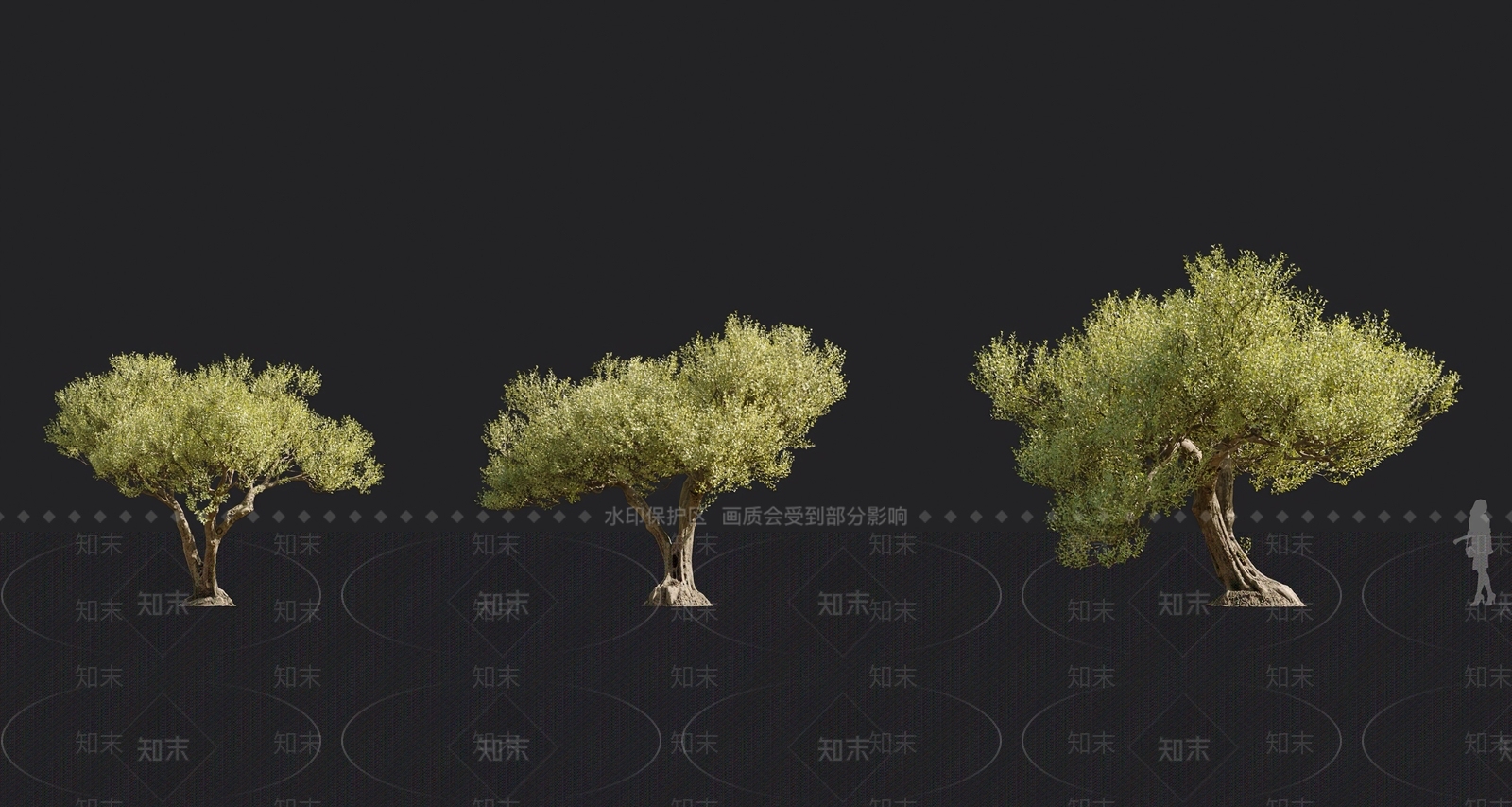 橄榄树3D模型下载【ID:1141469700】