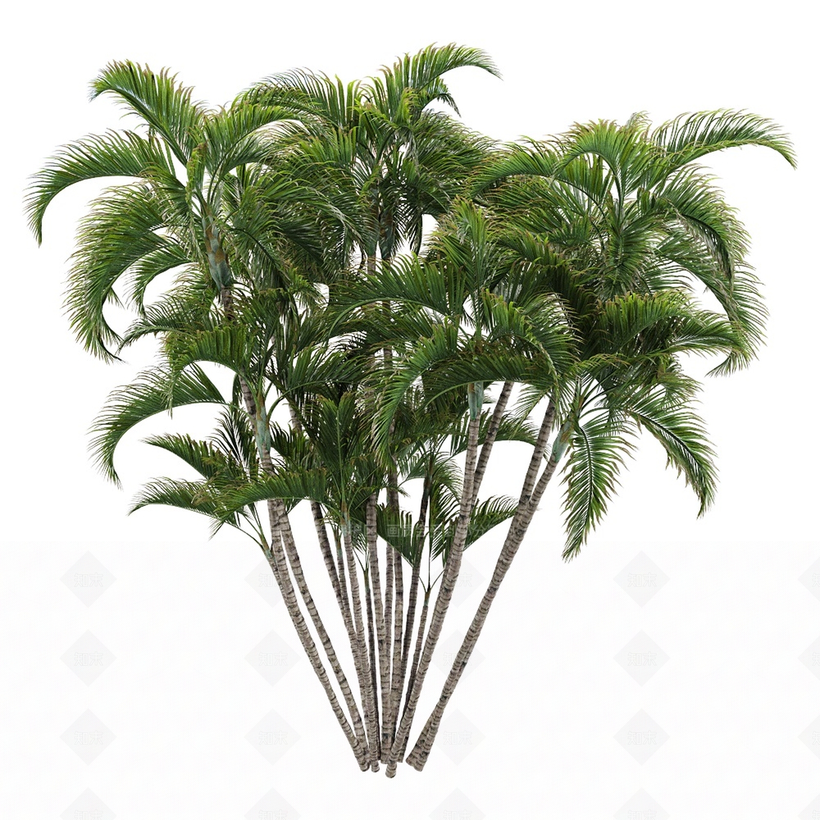 乔木3D模型下载【ID:1141481464】