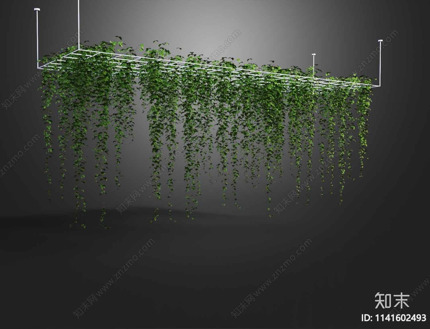 现代绿植藤蔓3D模型下载【ID:1141602493】