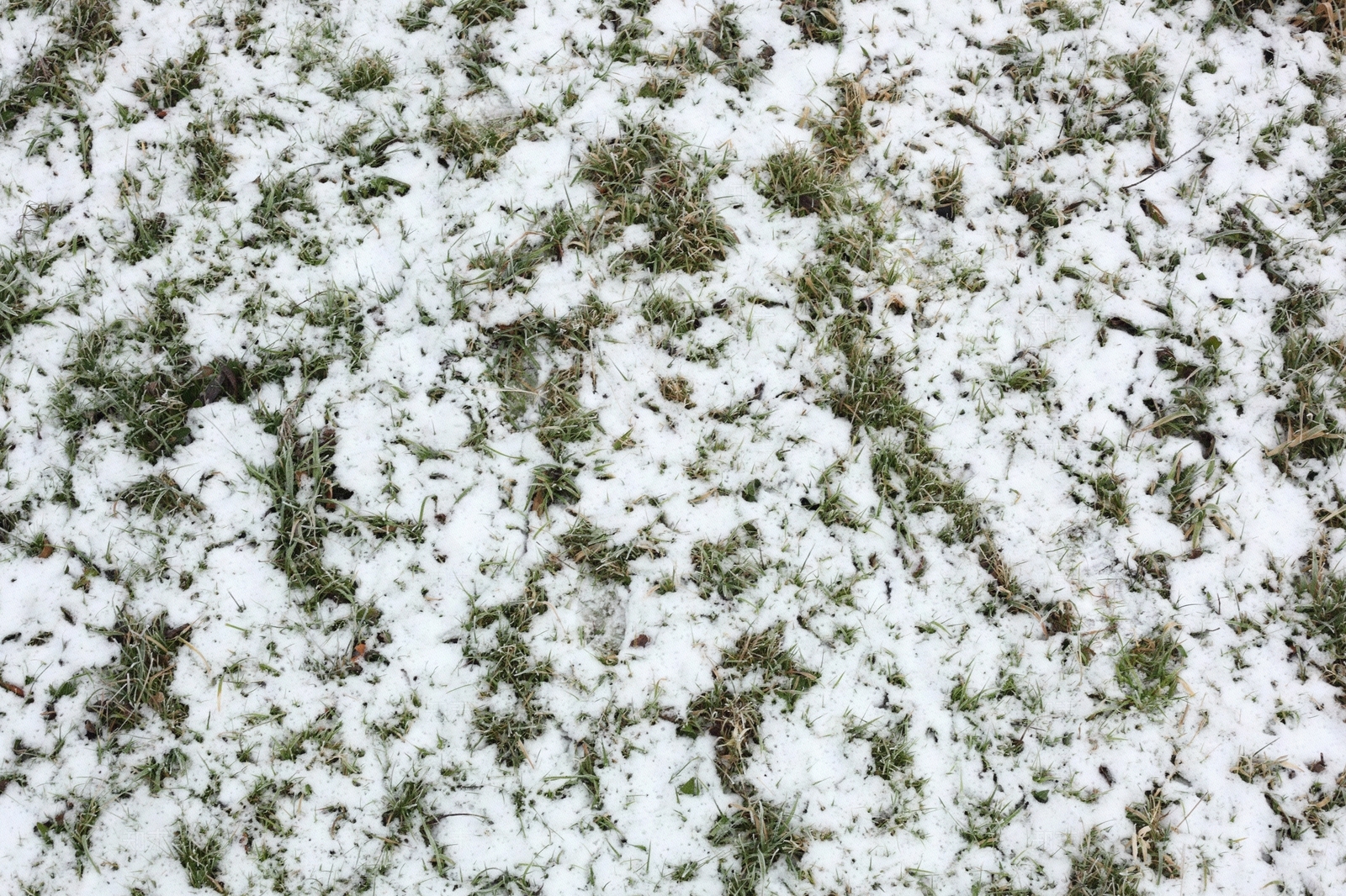雪地高清贴图材质