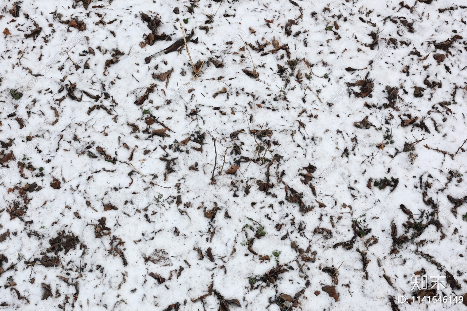 雪地地面贴图下载【ID:1141646149】