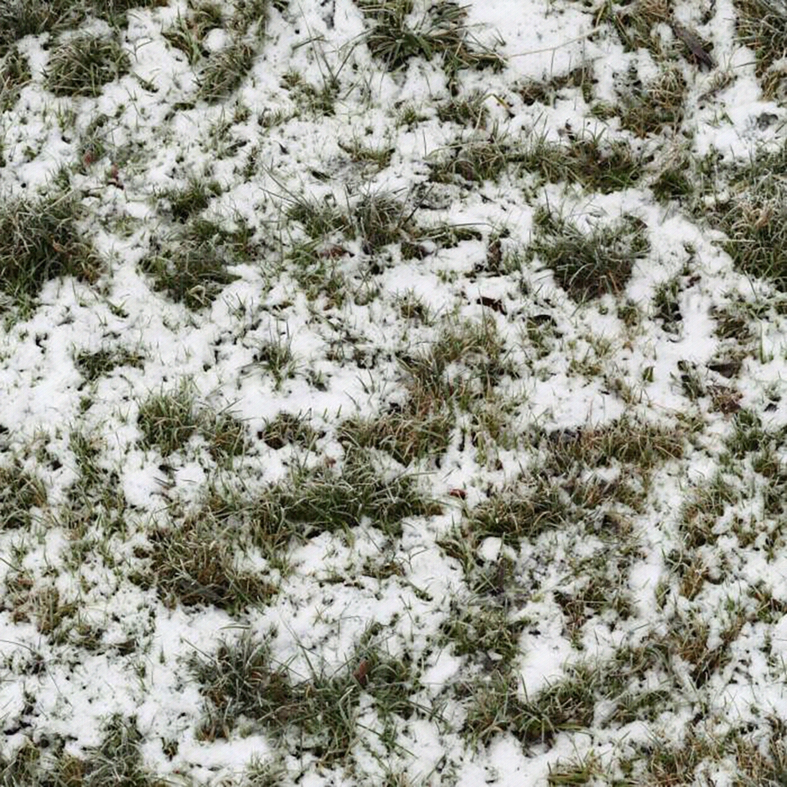 雪地高清贴图材质