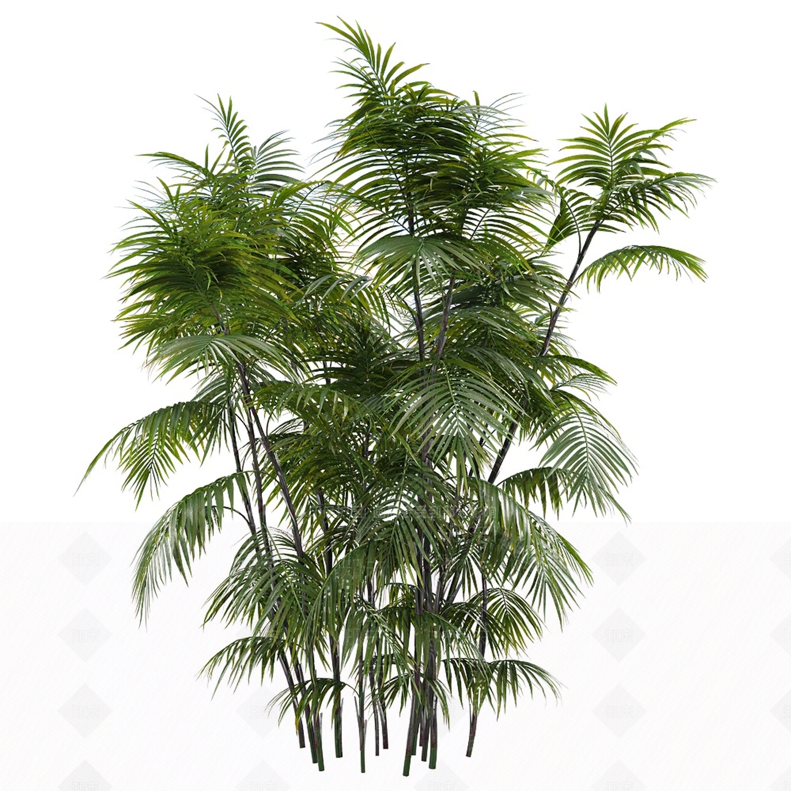 灌木3D模型下载【ID:1141670543】