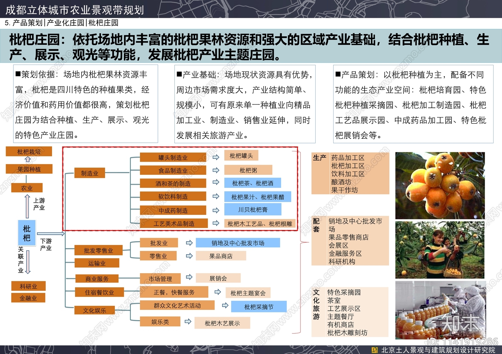 成都立体城市农业景观带规划方案文本下载【ID:1141919286】