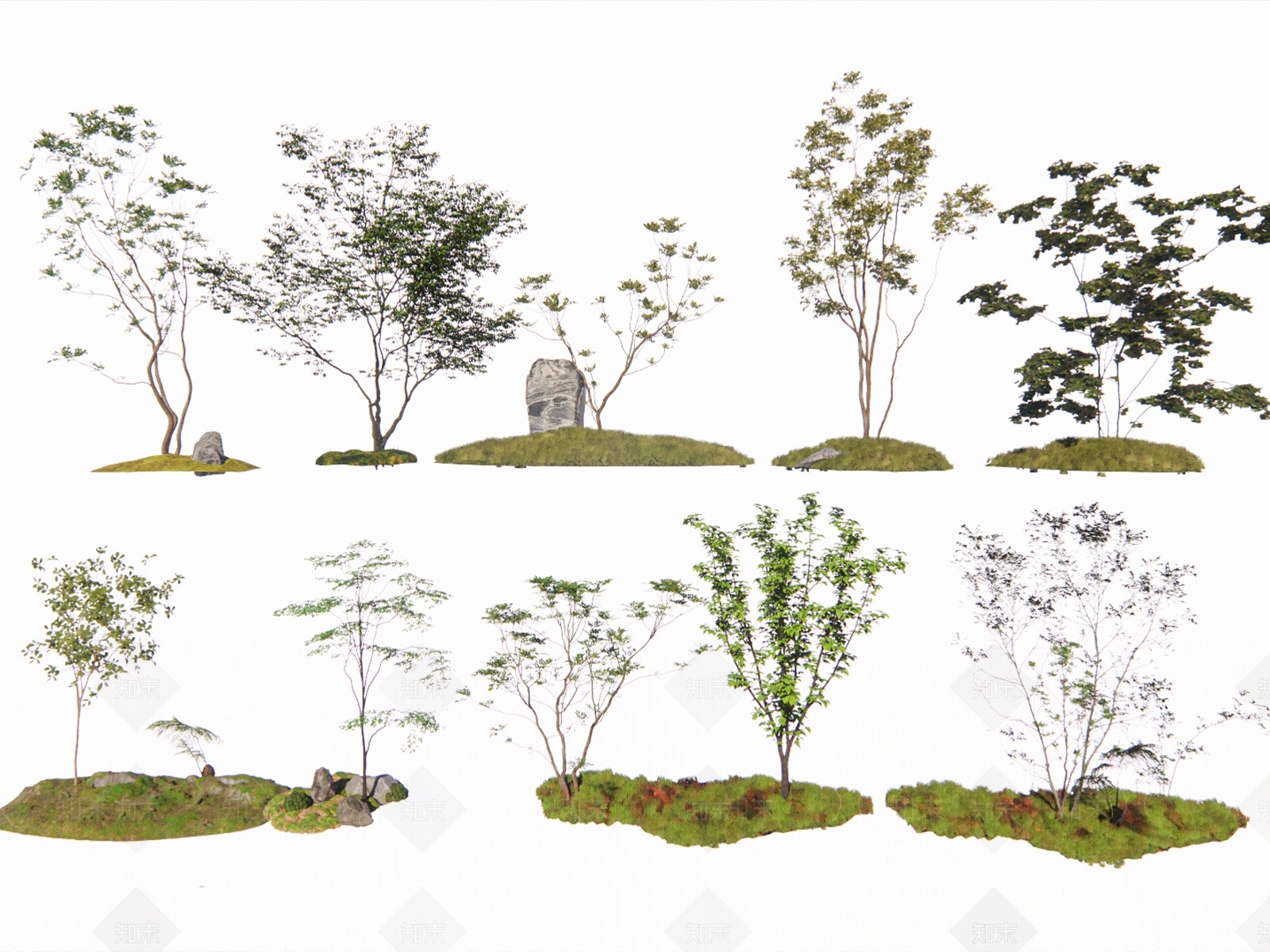 庭院杂木植物SU模型下载【ID:1141699780】_知末su模型网