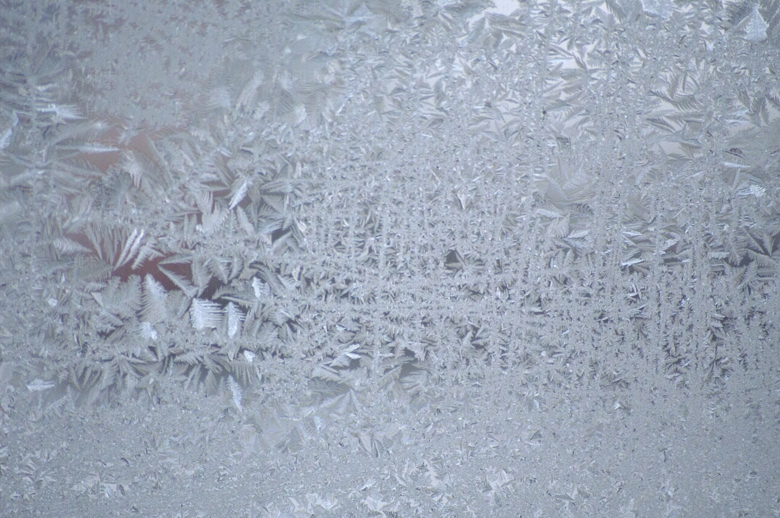 冰花冰窗花贴图下载【ID:1141819235】