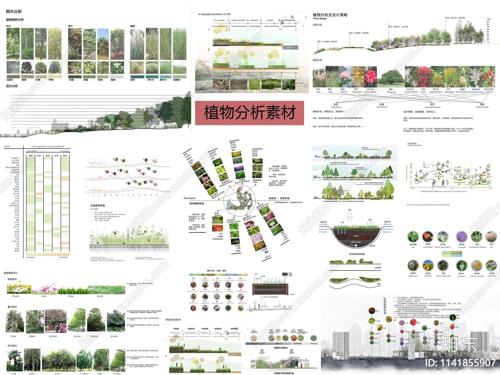 PSD免抠植物分析配置分析种类分析季相分析下载【ID:1141855907】