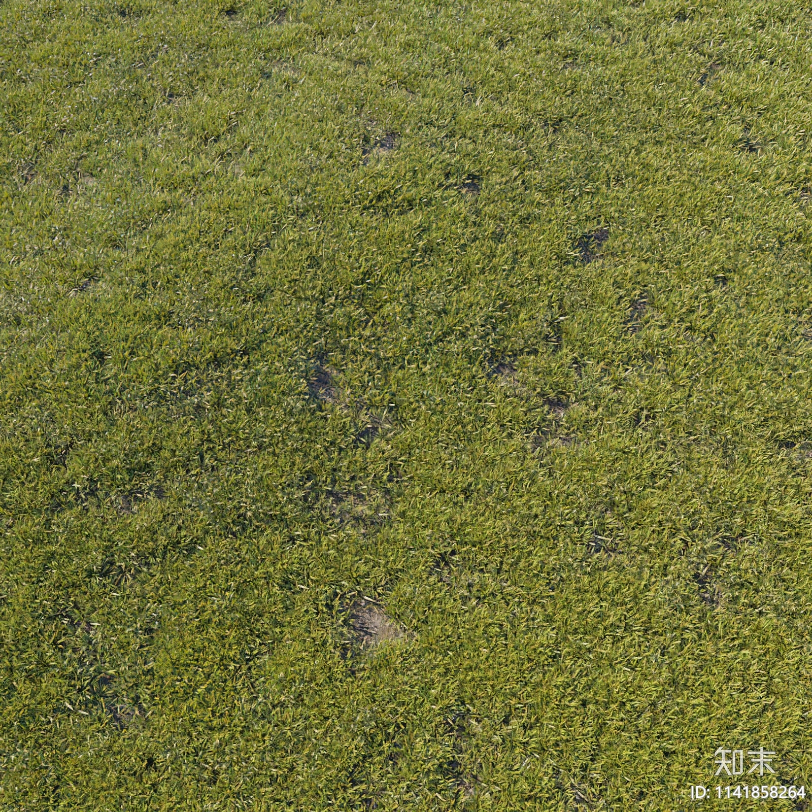 草坪草地3D模型下载【ID:1141858264】