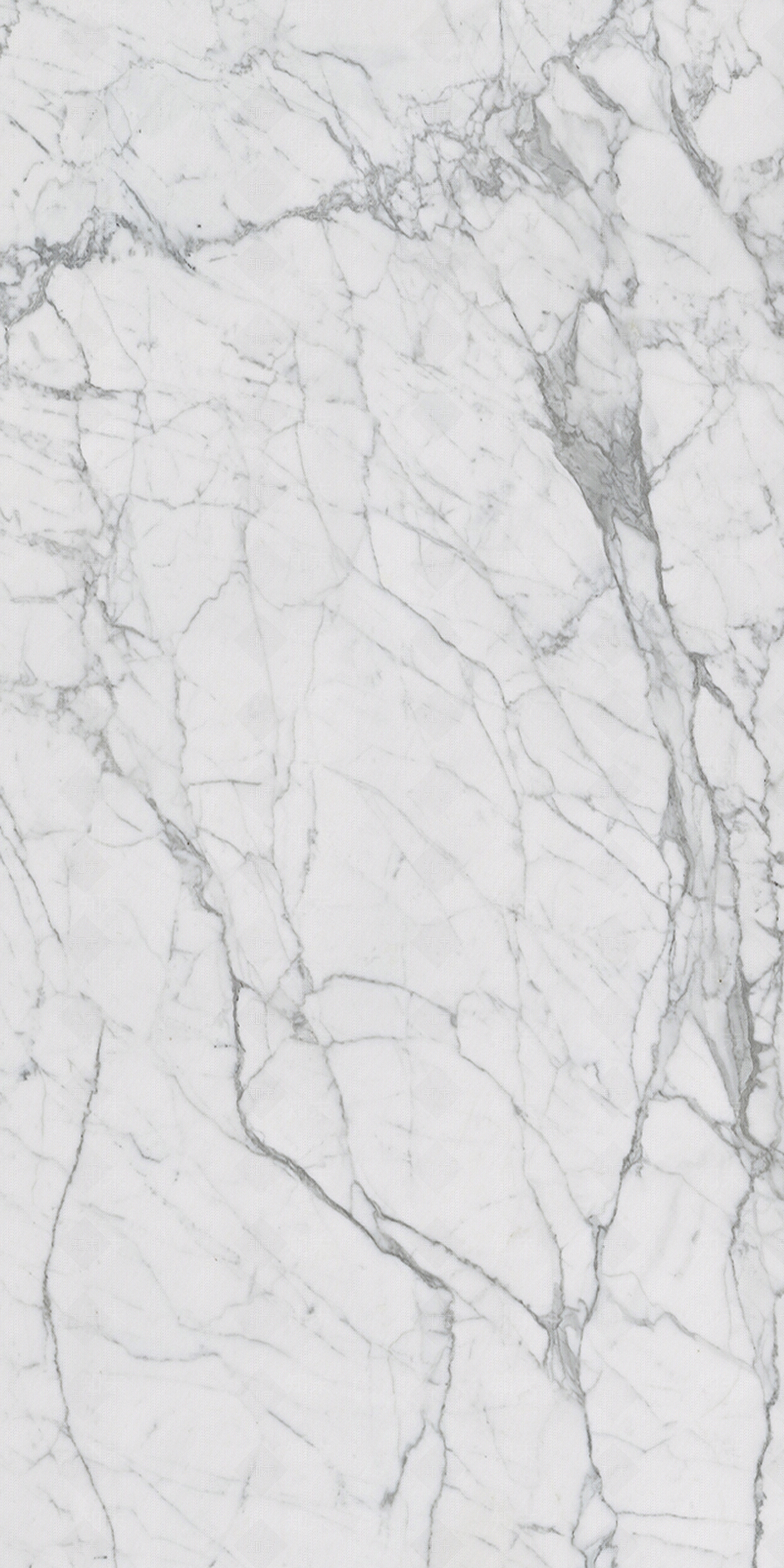 雪花白贴图下载【ID:1141999572】