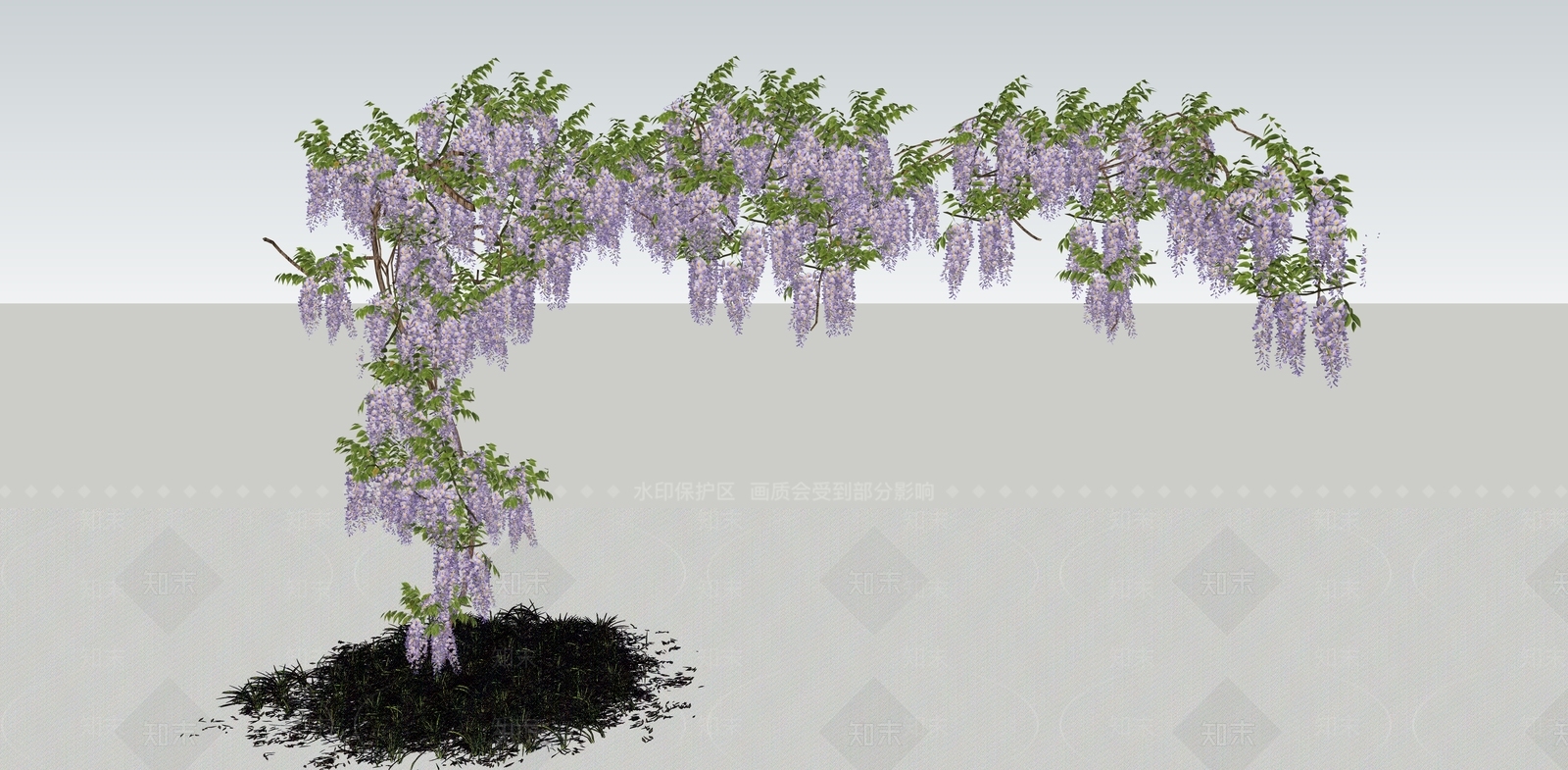 紫藤萝SU模型下载【ID:1142039054】