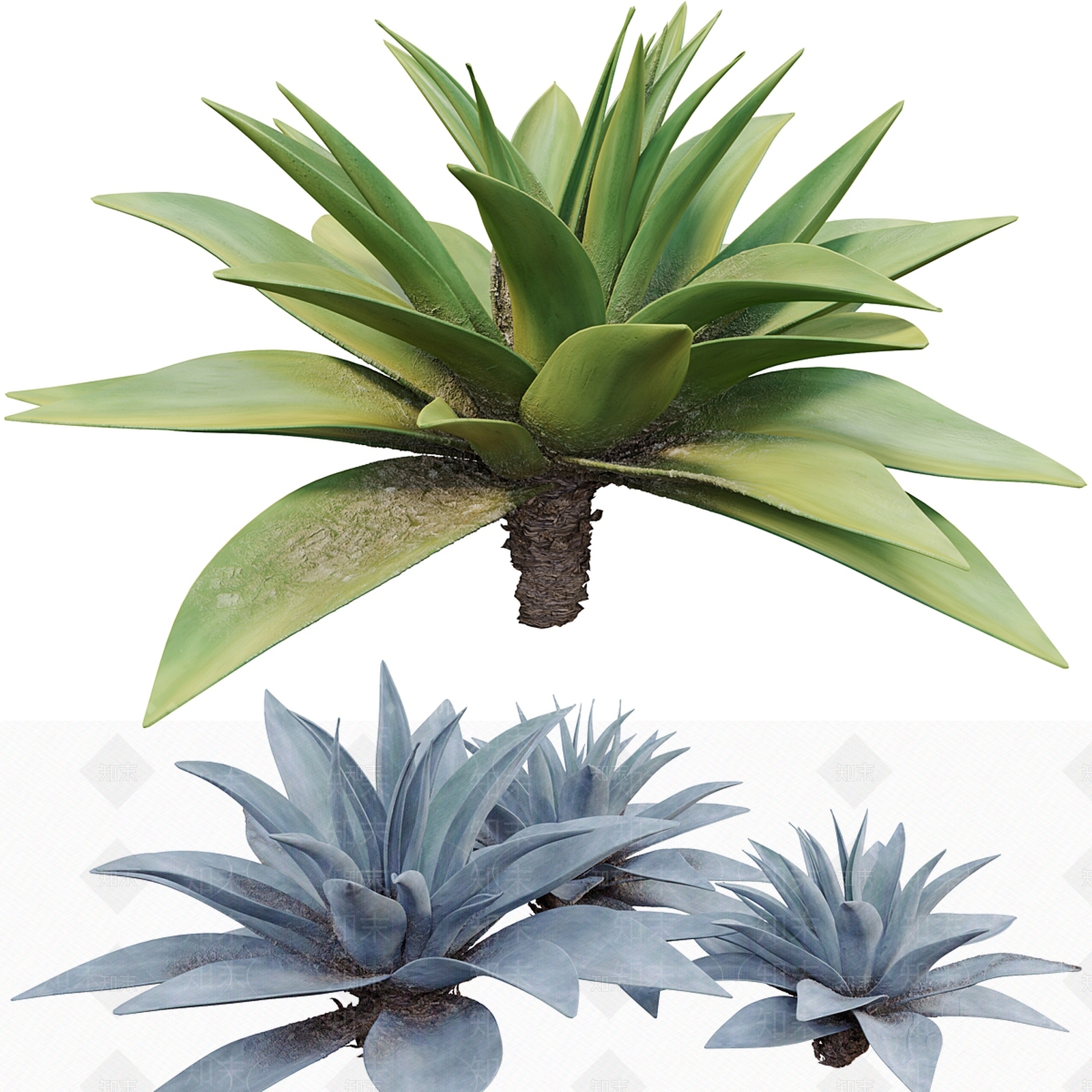 草3D模型下载【ID:1142040749】