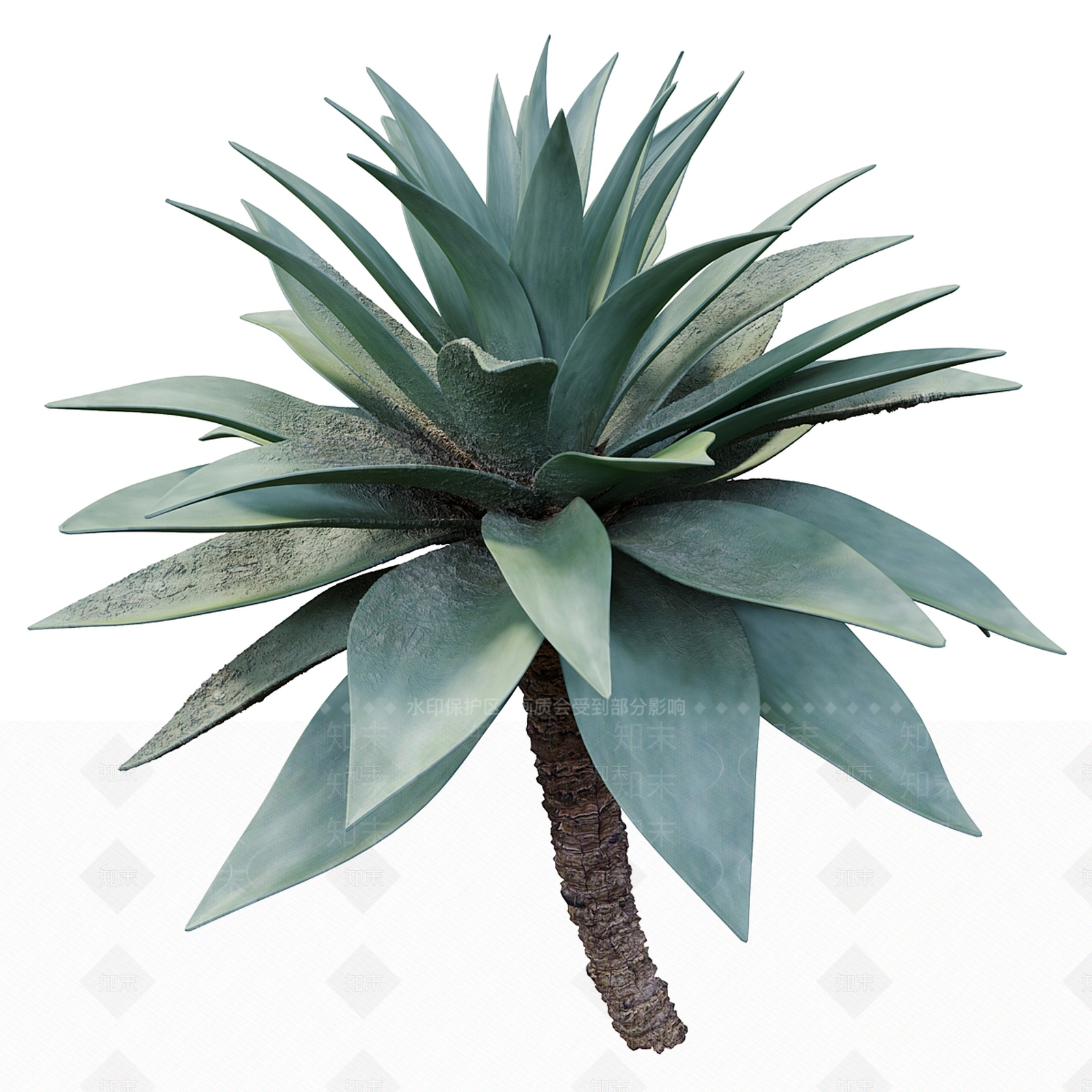 草3D模型下载【ID:1142040749】