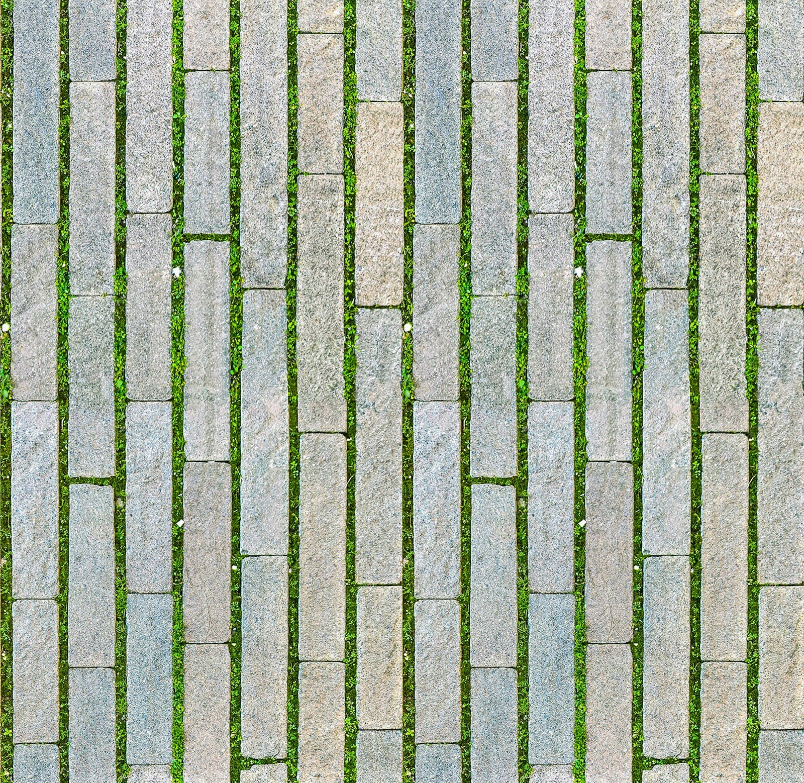 户外草坪砖贴图下载【ID:1142043886】