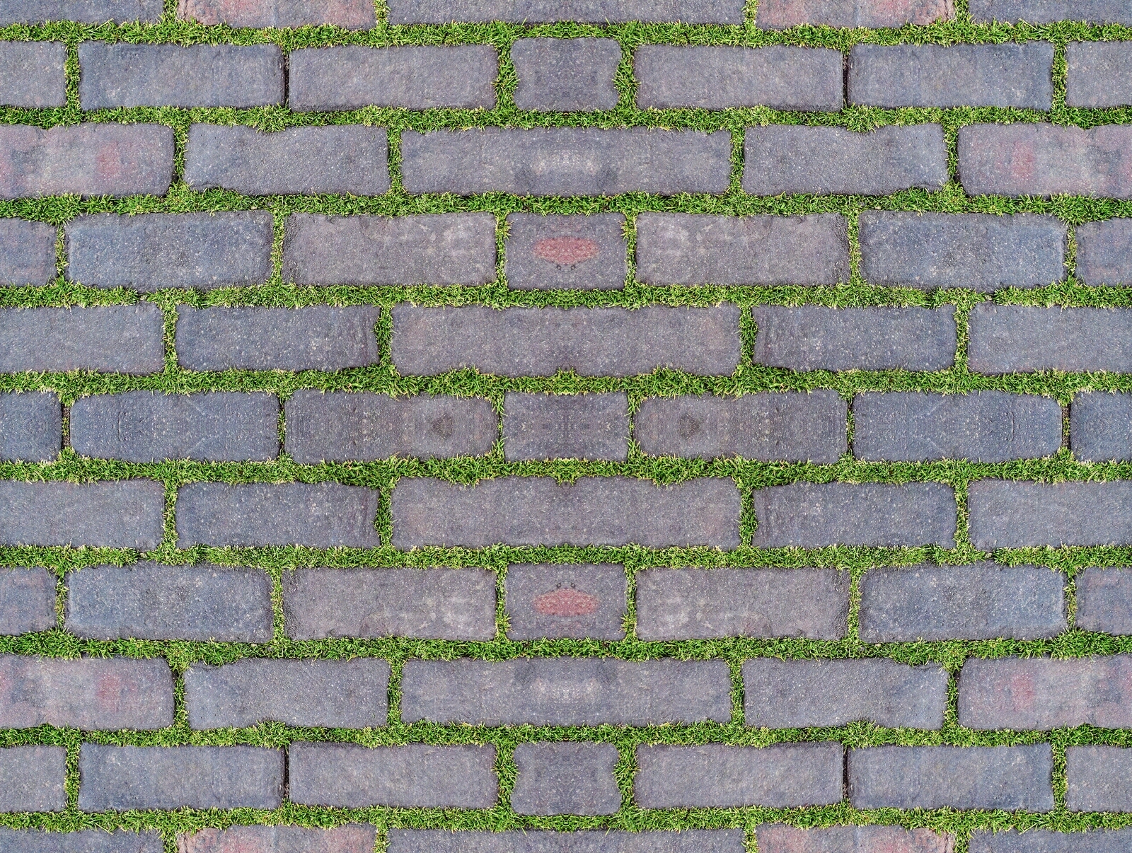 户外碎拼路面贴图下载【ID:1142043962】