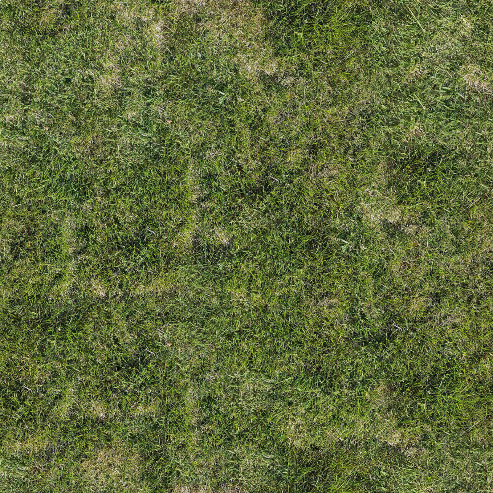 高清无缝自然草地草皮草坡绿地贴图贴图下载【ID:1142044041】