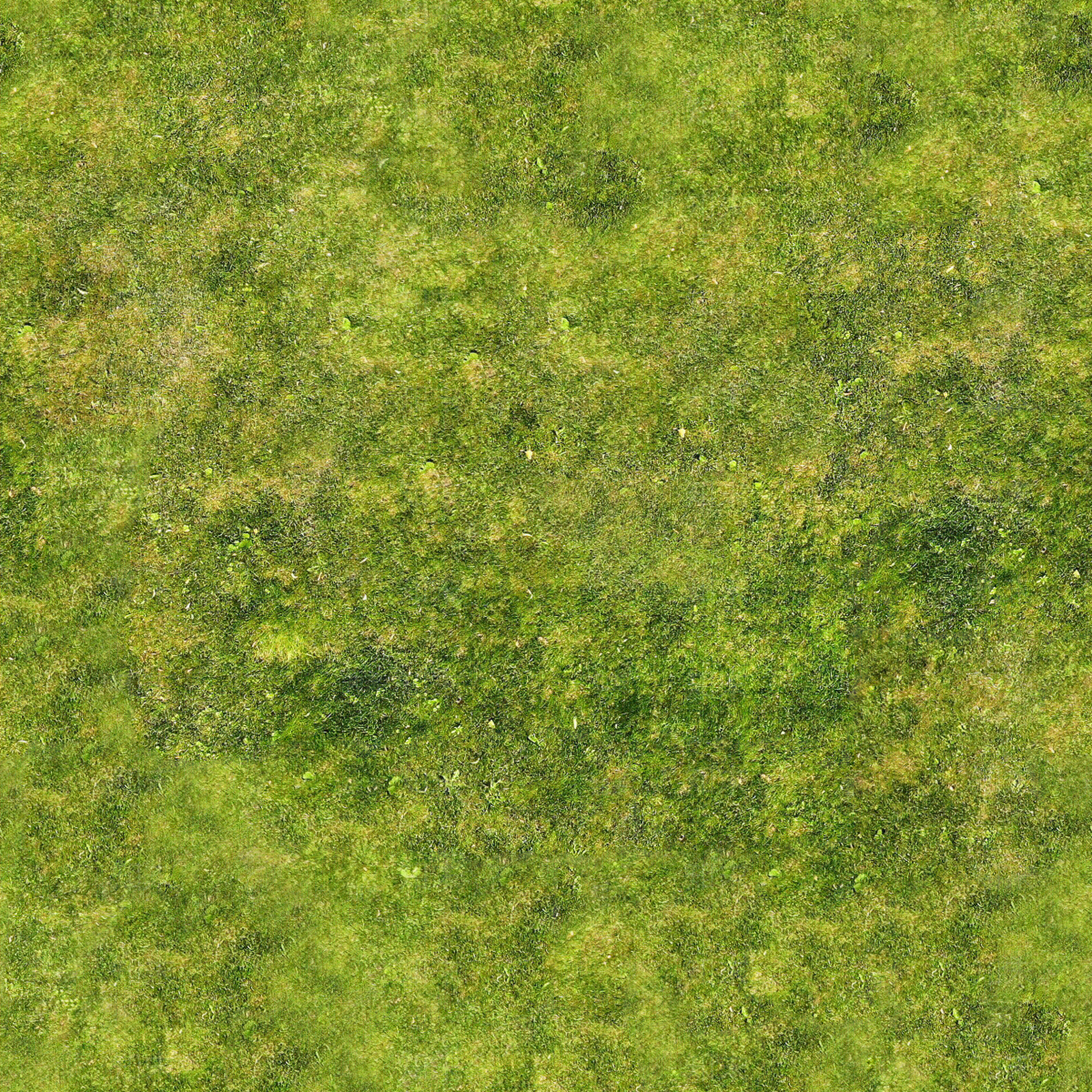 高清无缝自然草地草皮草坡绿地贴图贴图下载【ID:1142045352】