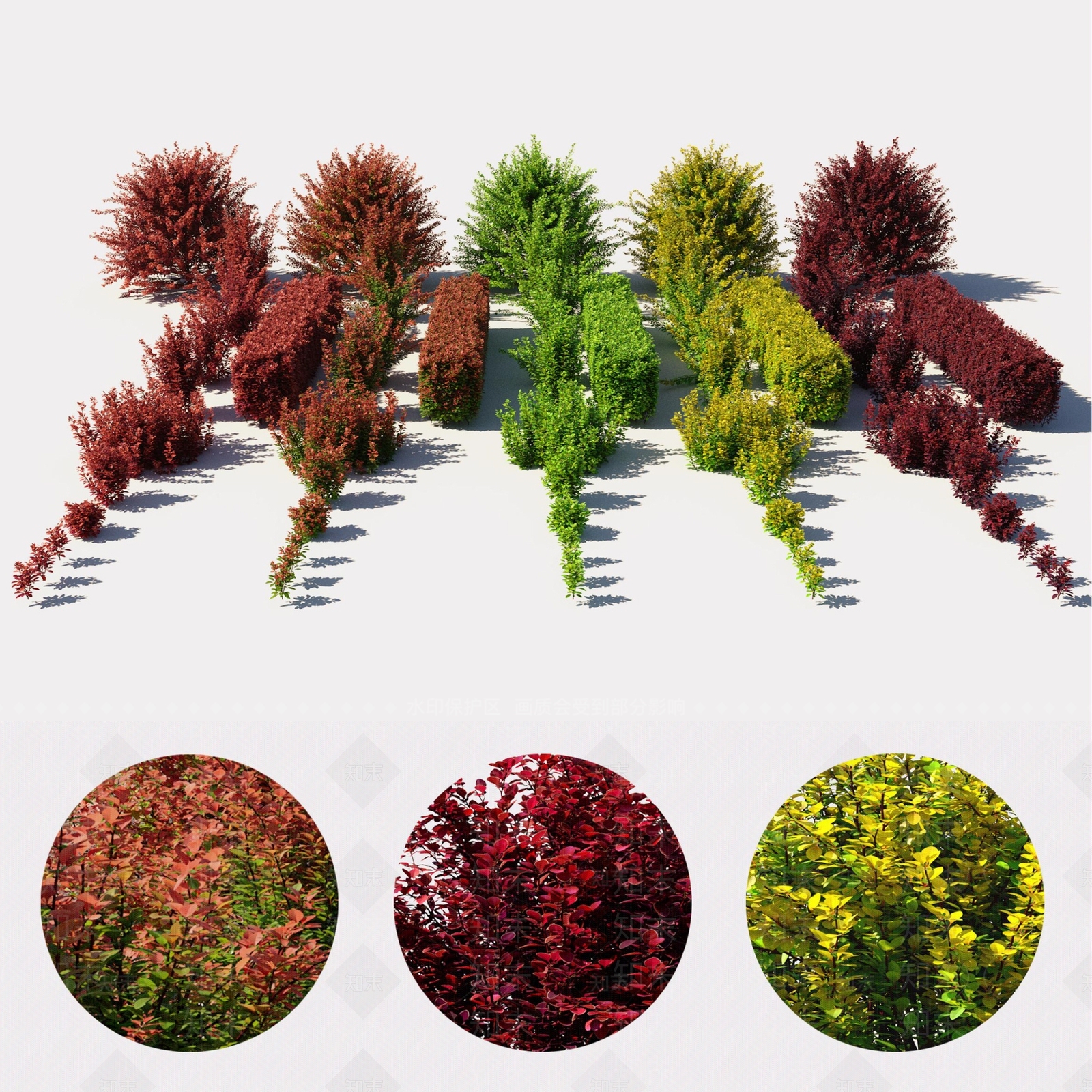 灌木丛3D模型下载【ID:1142080580】