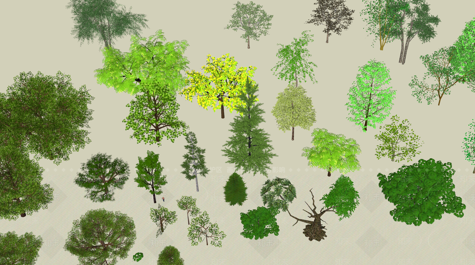 景观植物树木SU模型下载【ID:1142155399】