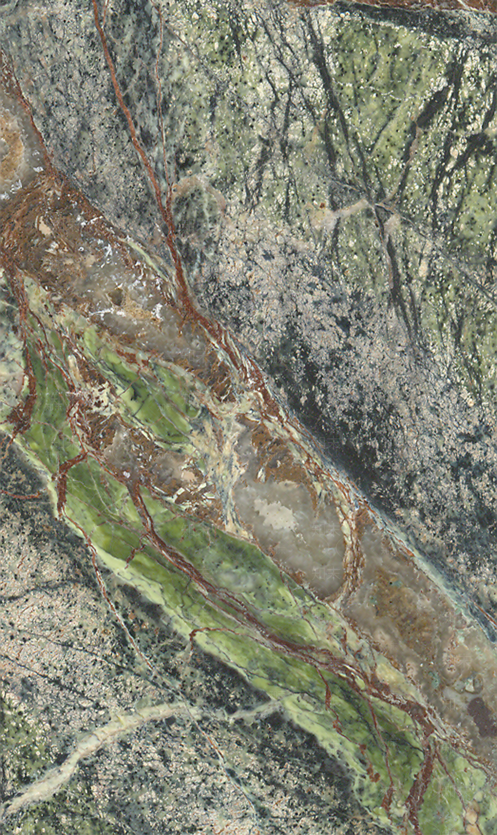 雨林绿大理石贴图下载【ID:1142197386】