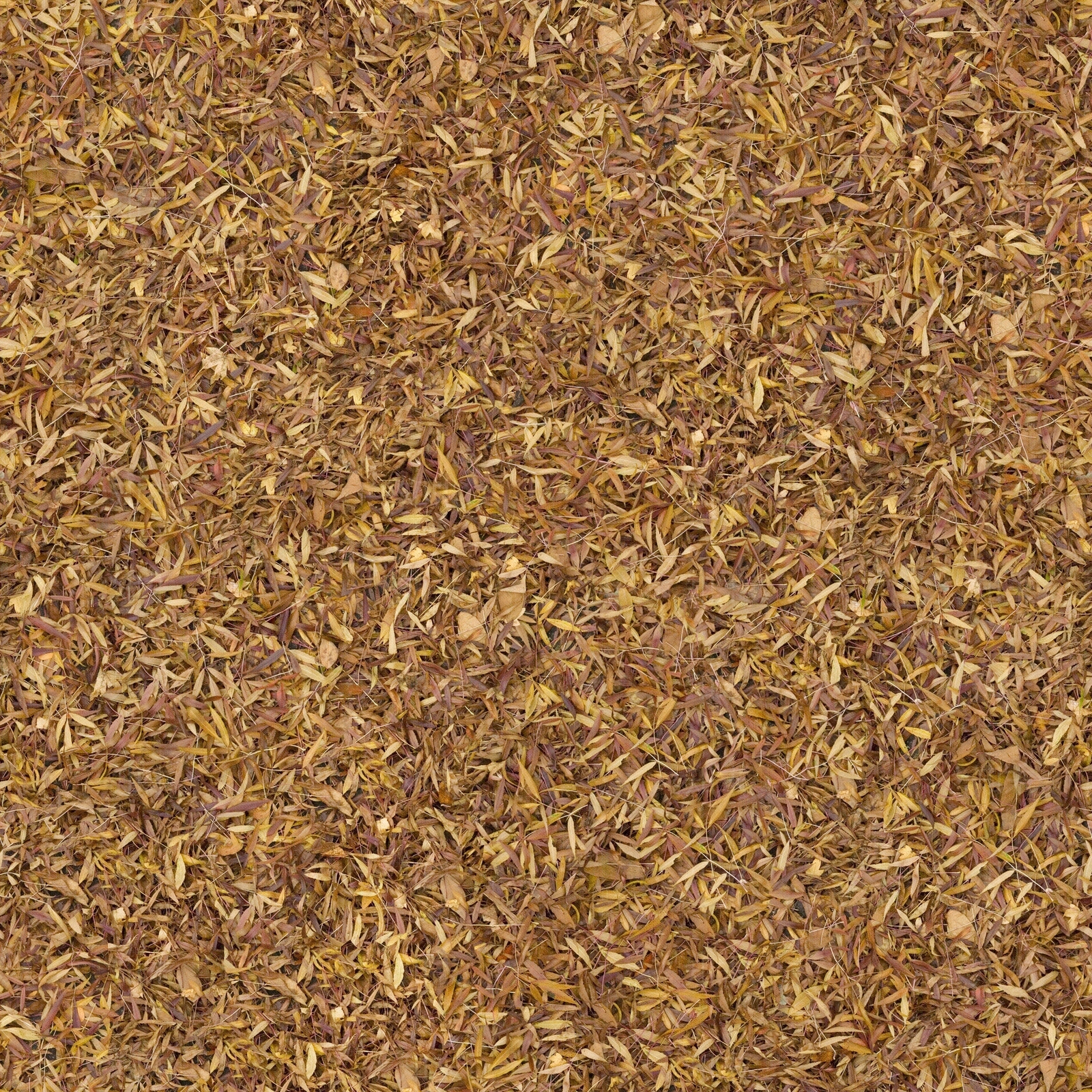 无缝树叶枯枝落叶土壤泥土沙土地面贴图下载【ID:1142206073】