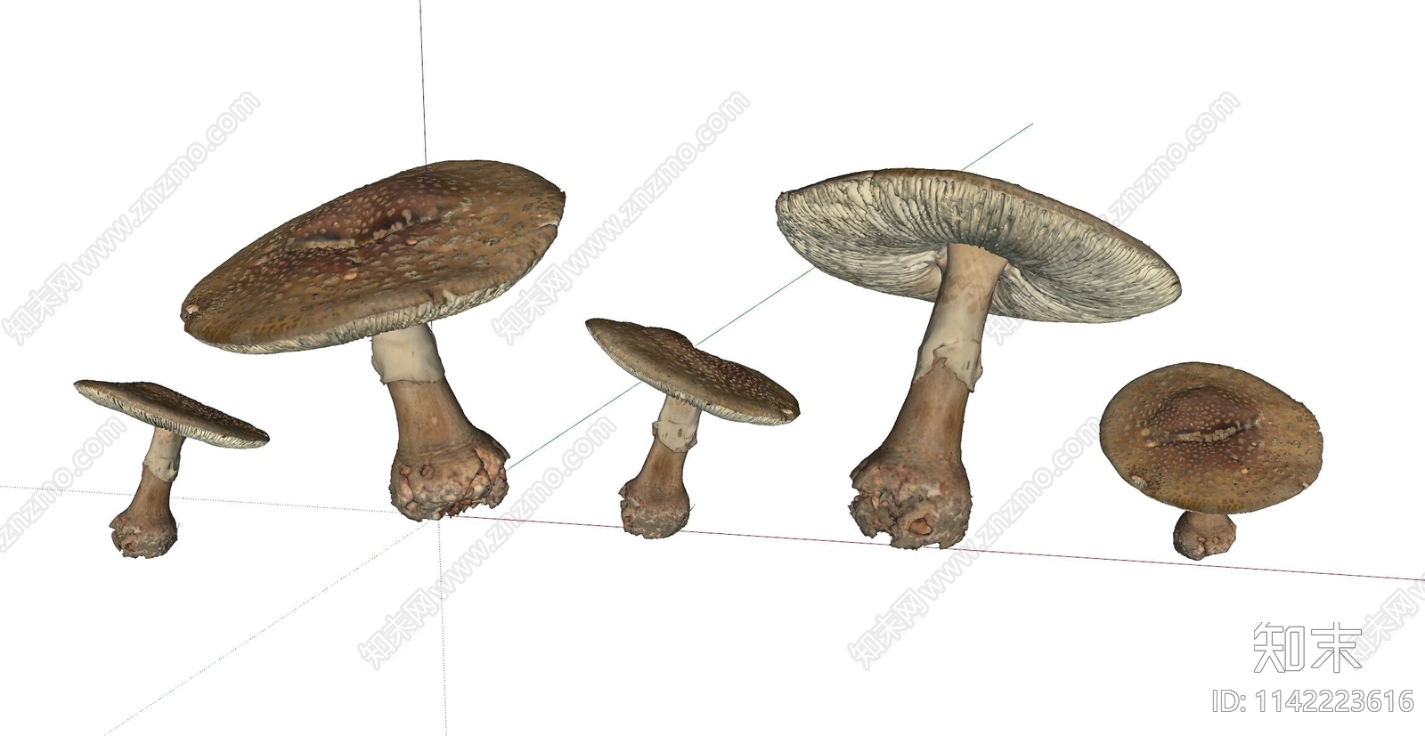 菌类SU模型下载【ID:1142223616】