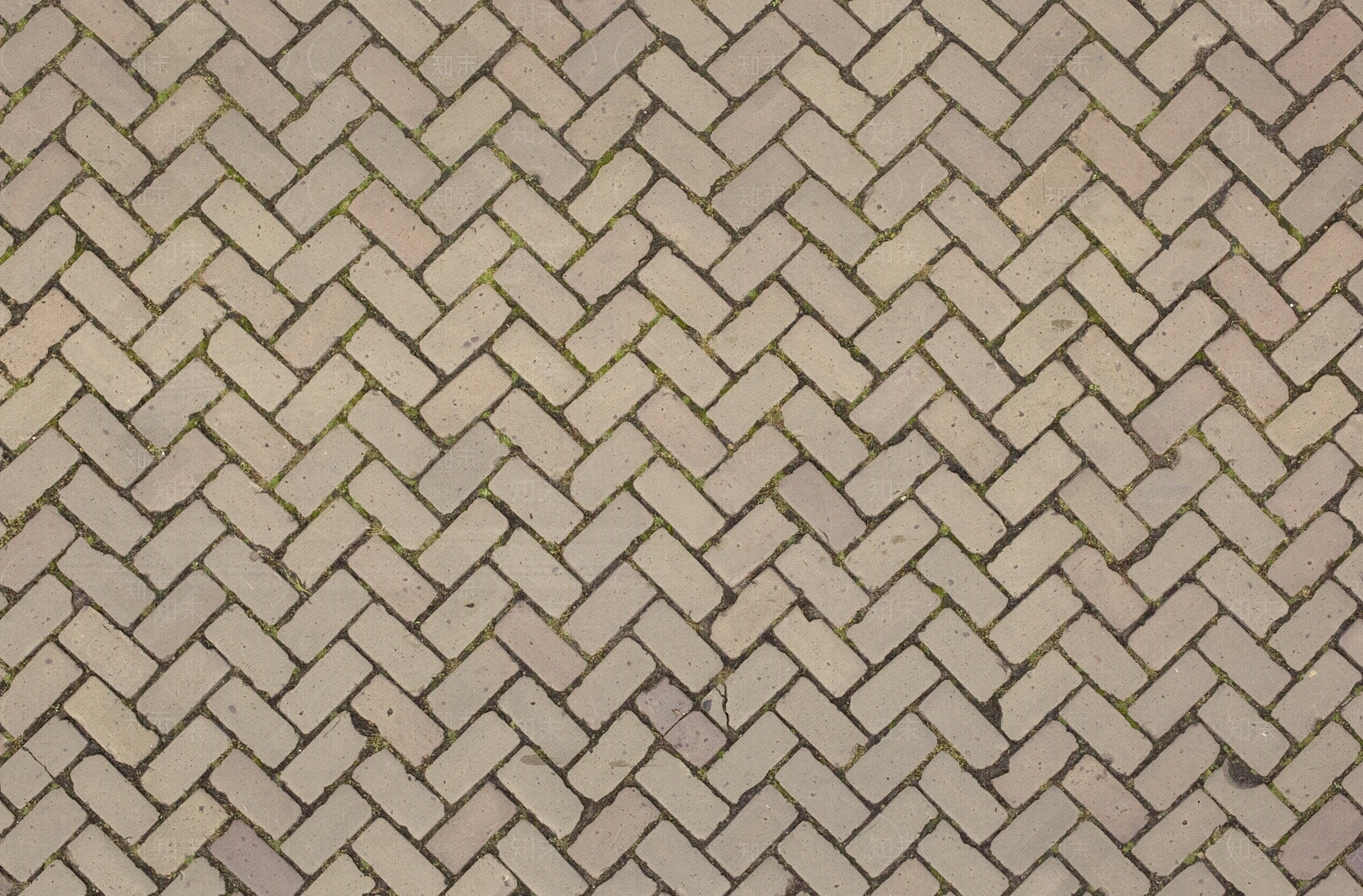 人字铺人行道地砖透水砖路面贴图下载【ID:1142246364】