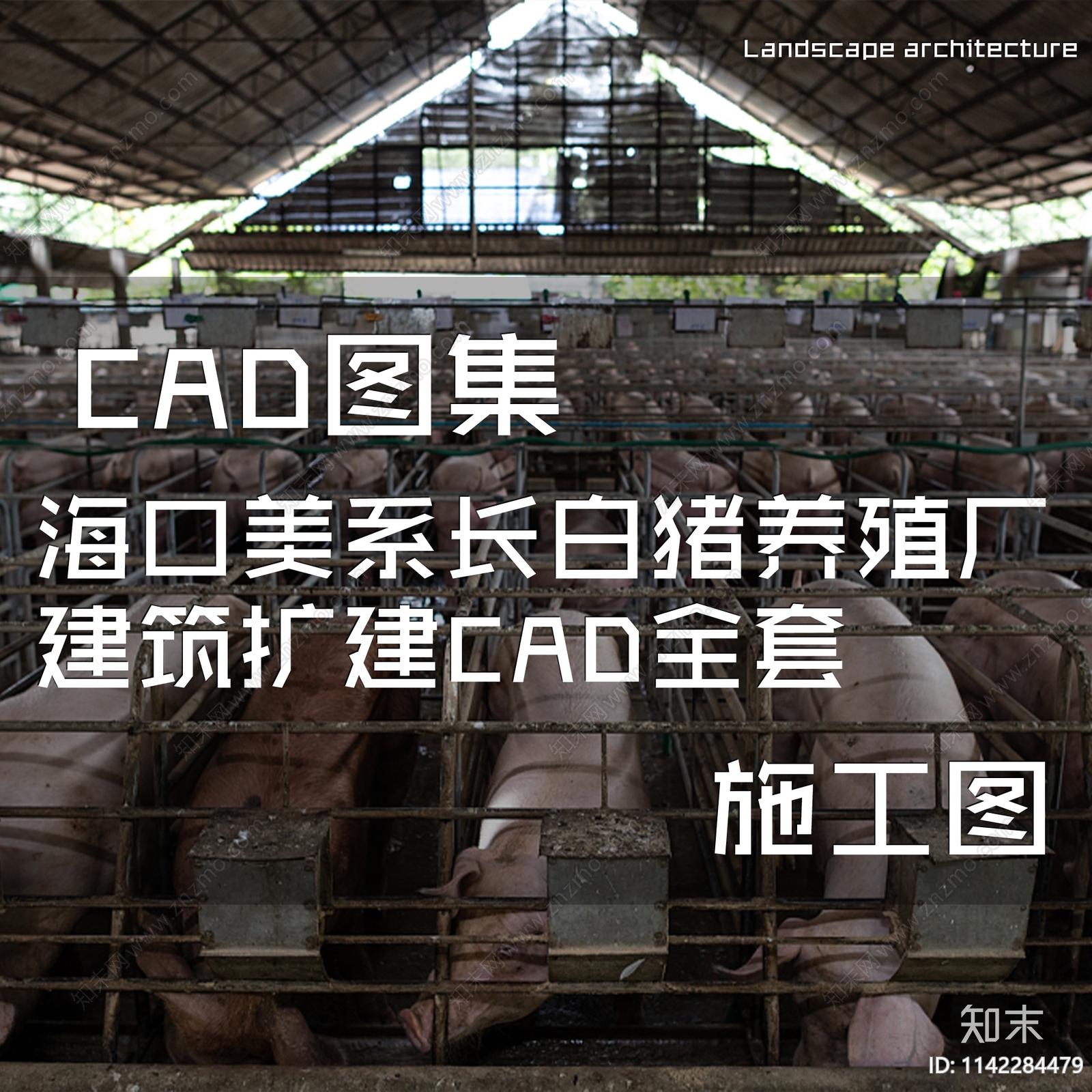 海口美系长白猪养殖厂建筑cad施工图下载【ID:1142284479】