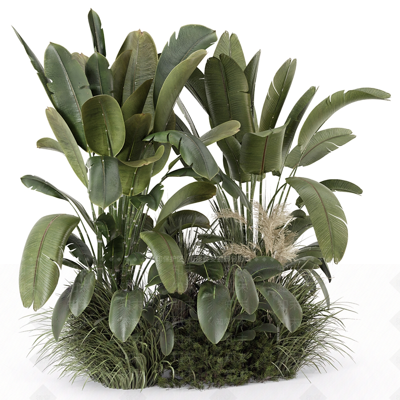 现代植物堆3D模型下载【ID:1142298063】