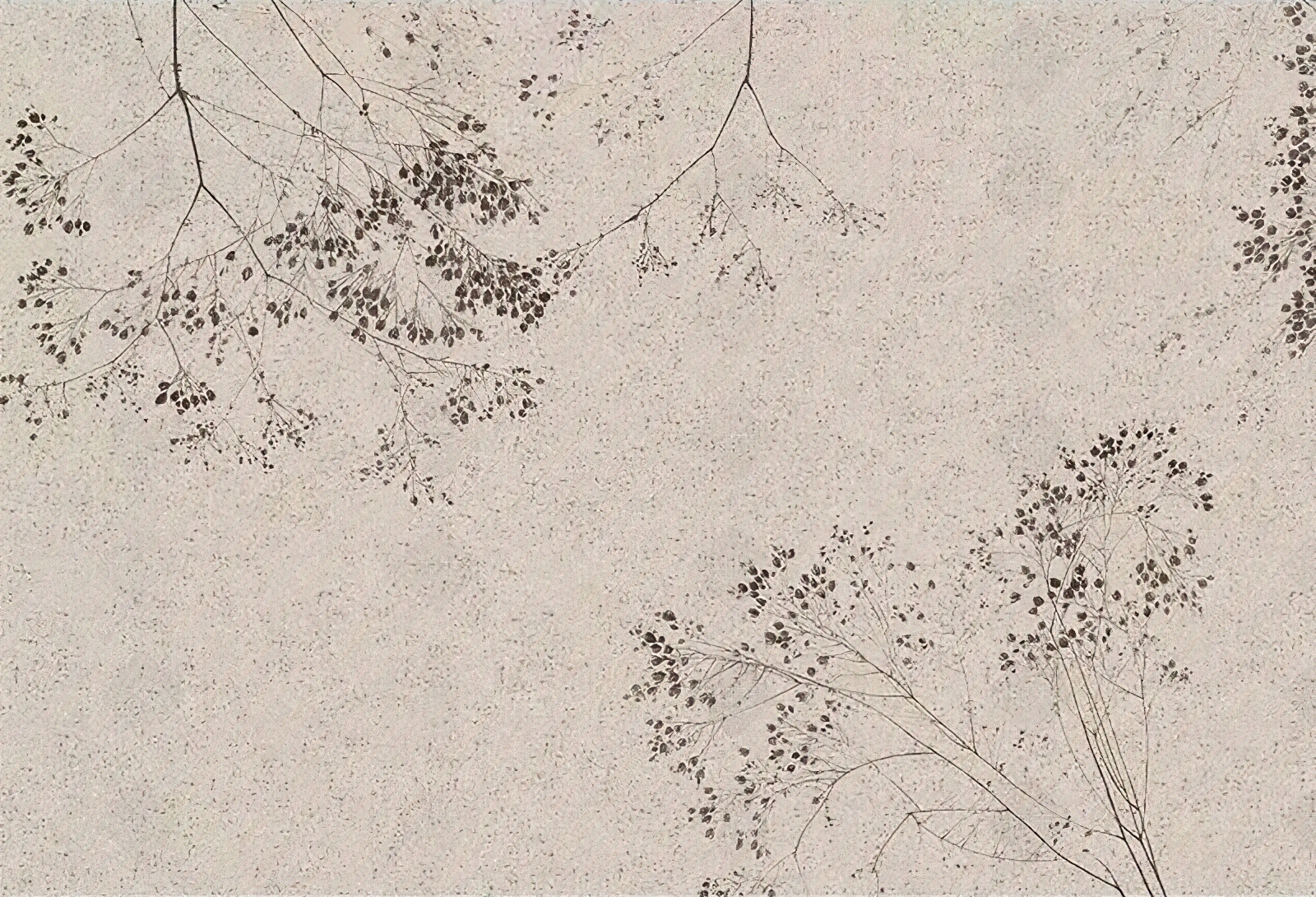 侘寂复古植物树枝壁纸贴图下载【ID:1142359850】