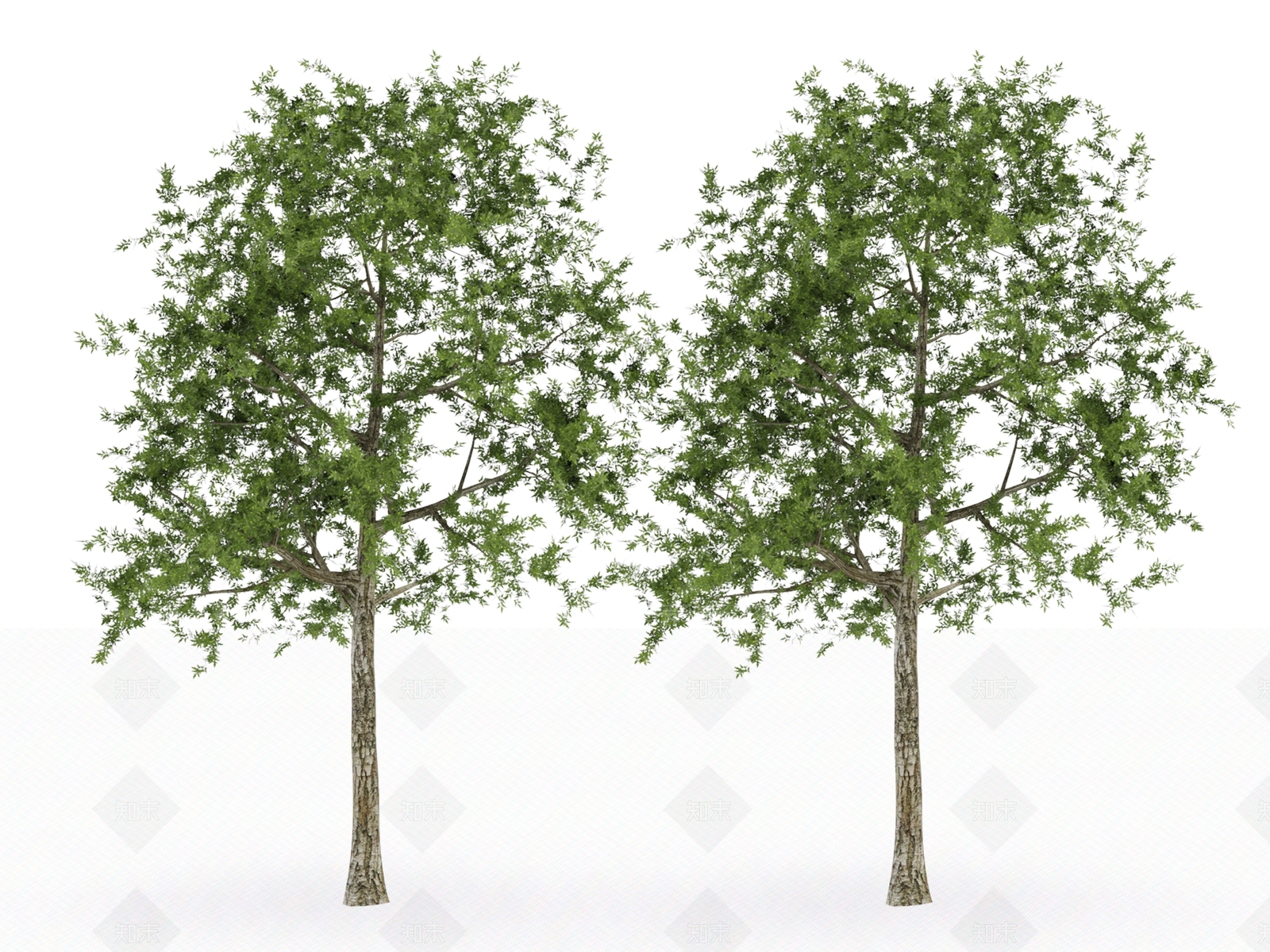 其他树木3D模型下载【ID:1142402624】