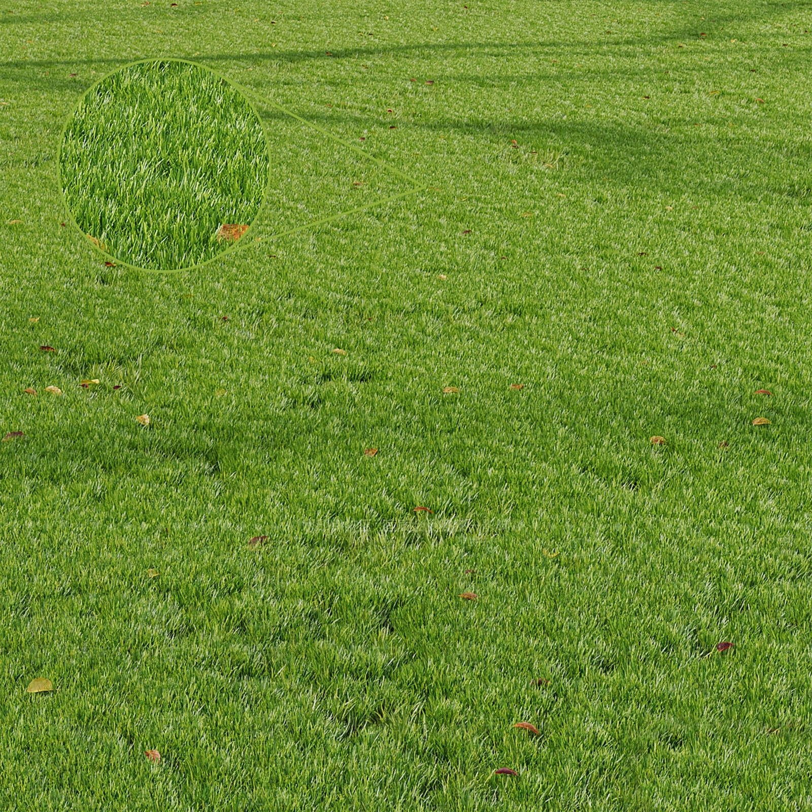 现代草地3D模型下载【ID:1142429996】