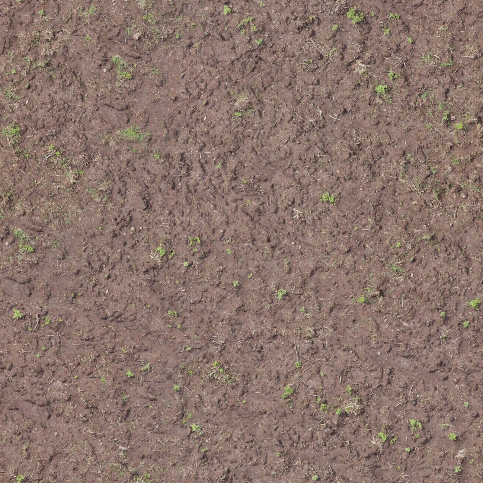 无缝草坪草皮草地沙子土壤沙土泥土地面贴图下载【ID:1142513982】